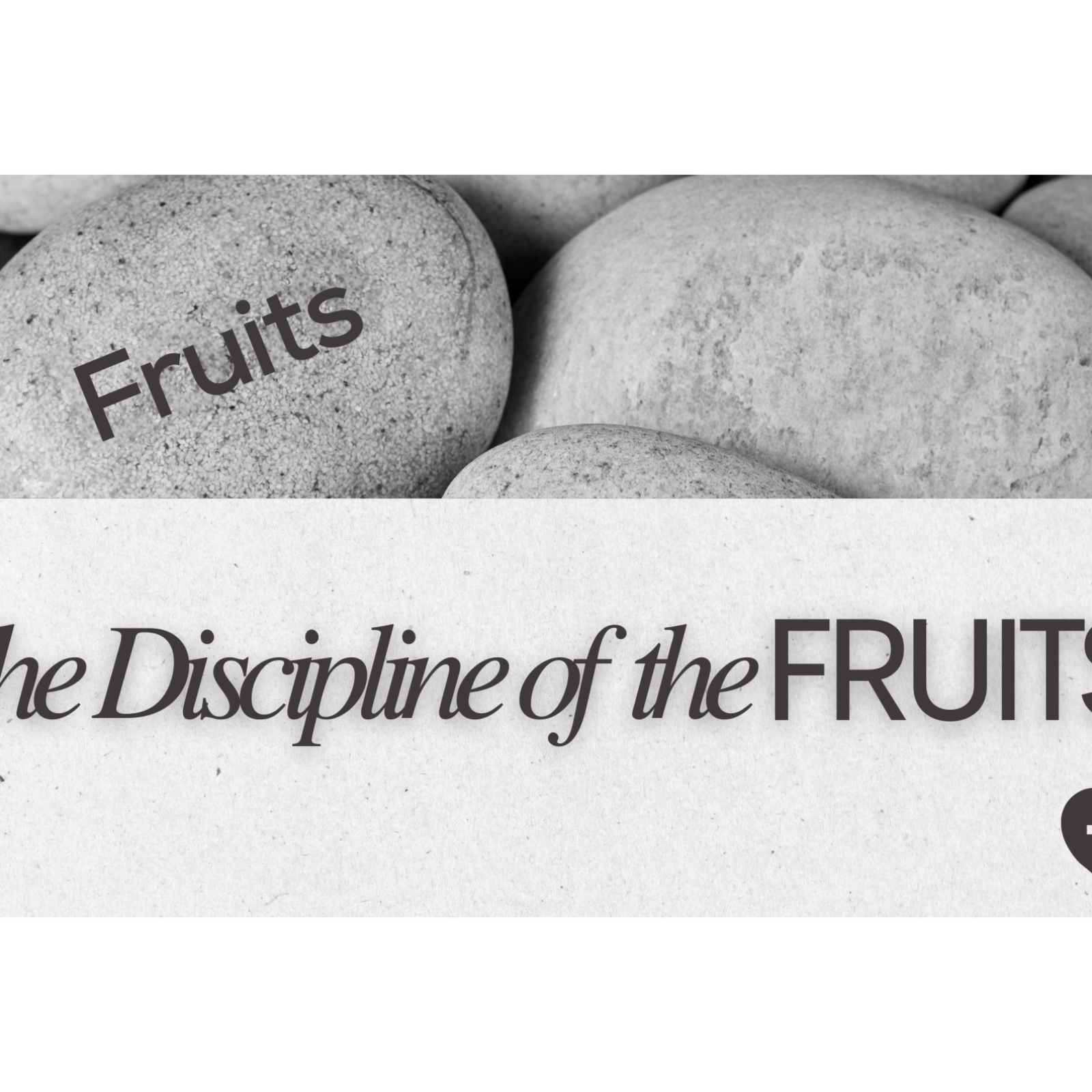The Discipline of the Fruits episode artwork
