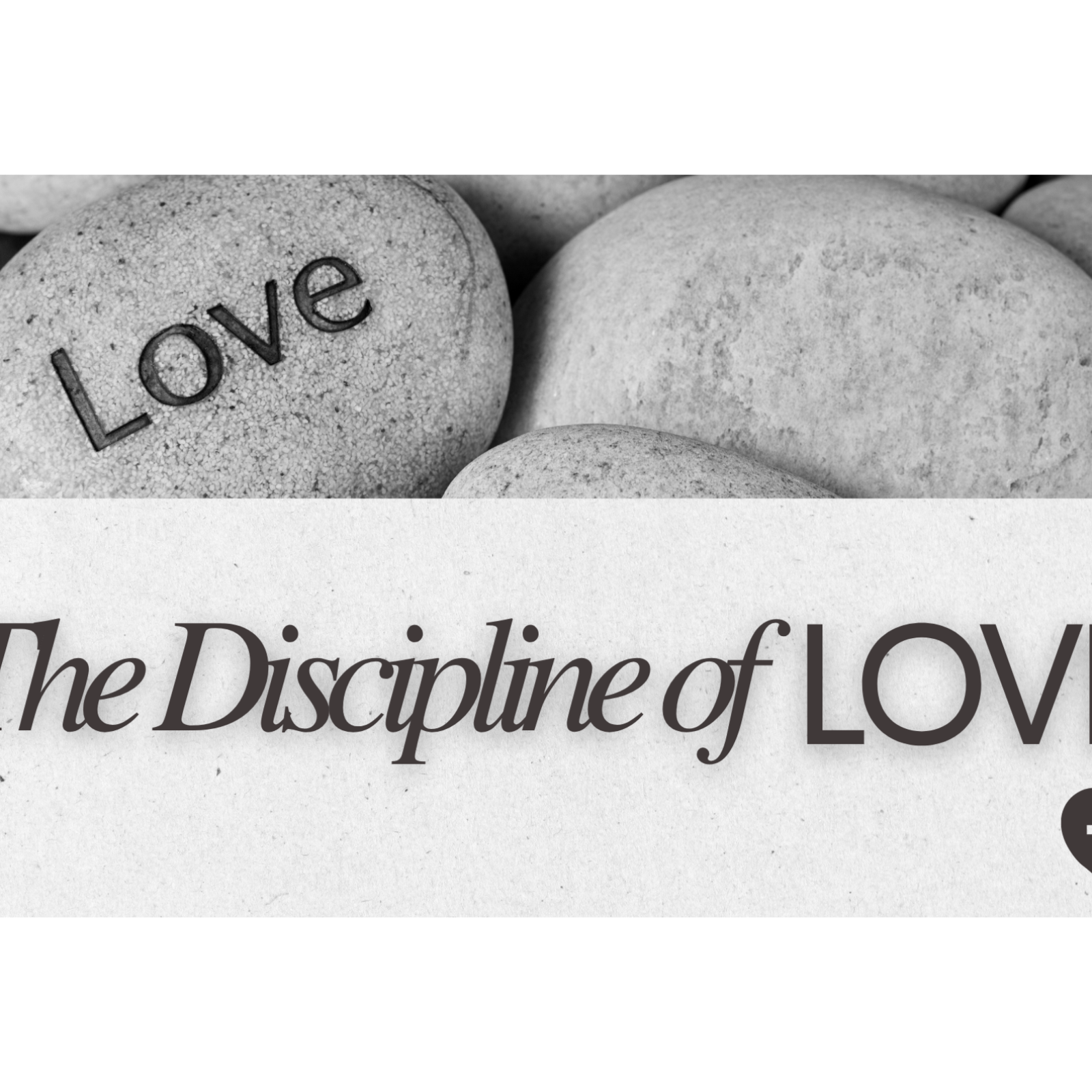 The Discipline of Love episode artwork