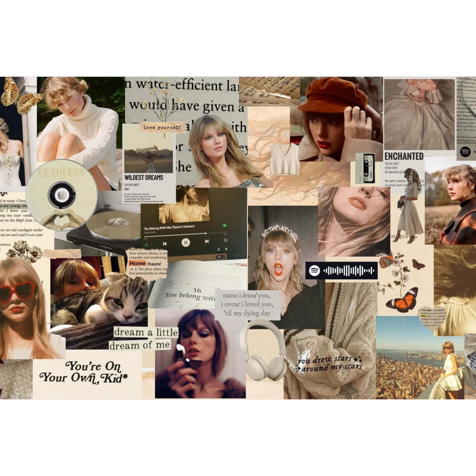 Ep.1 Taylor Swift Parodies  episode artwork