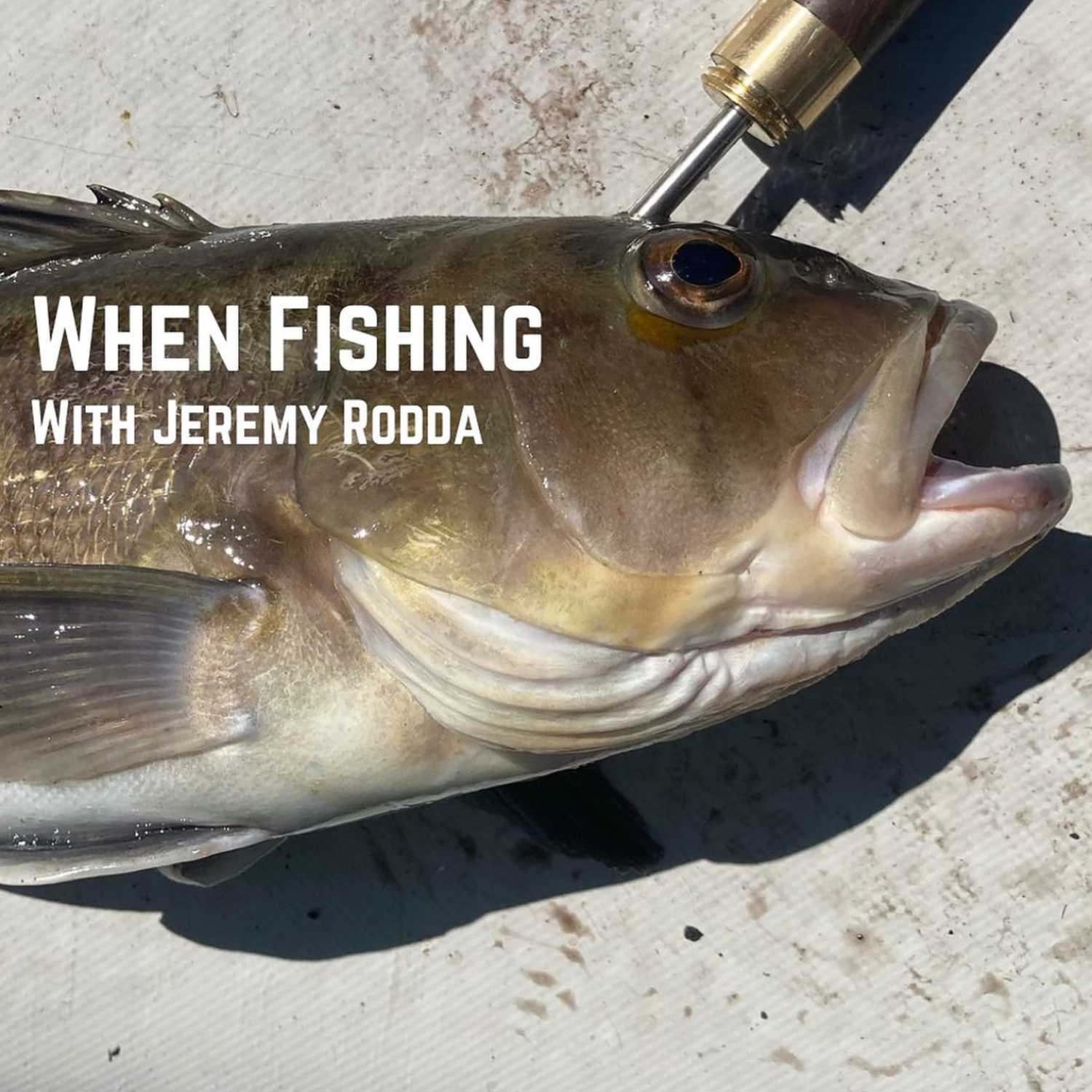 When Fishing Podcast