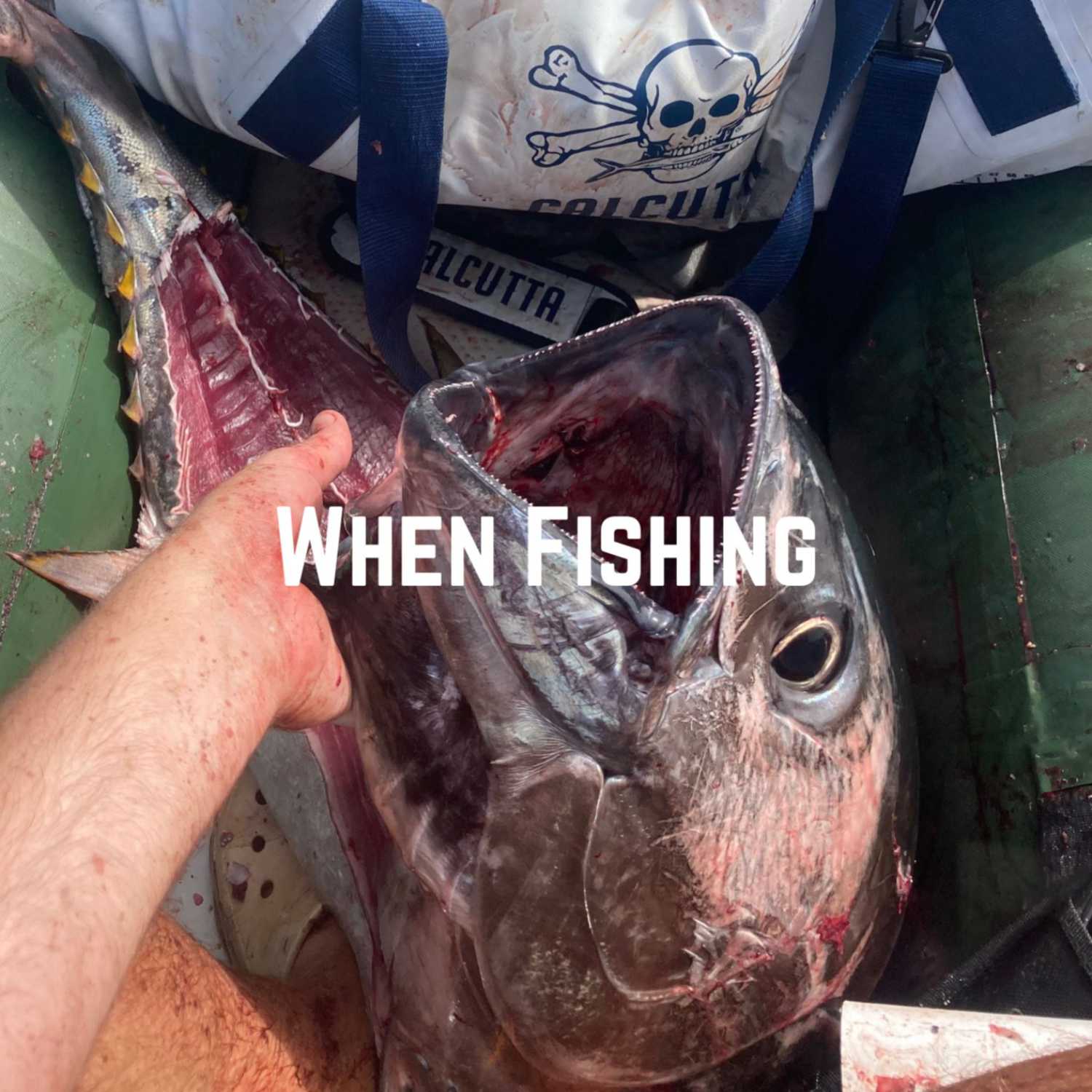 When Fishing Podcast