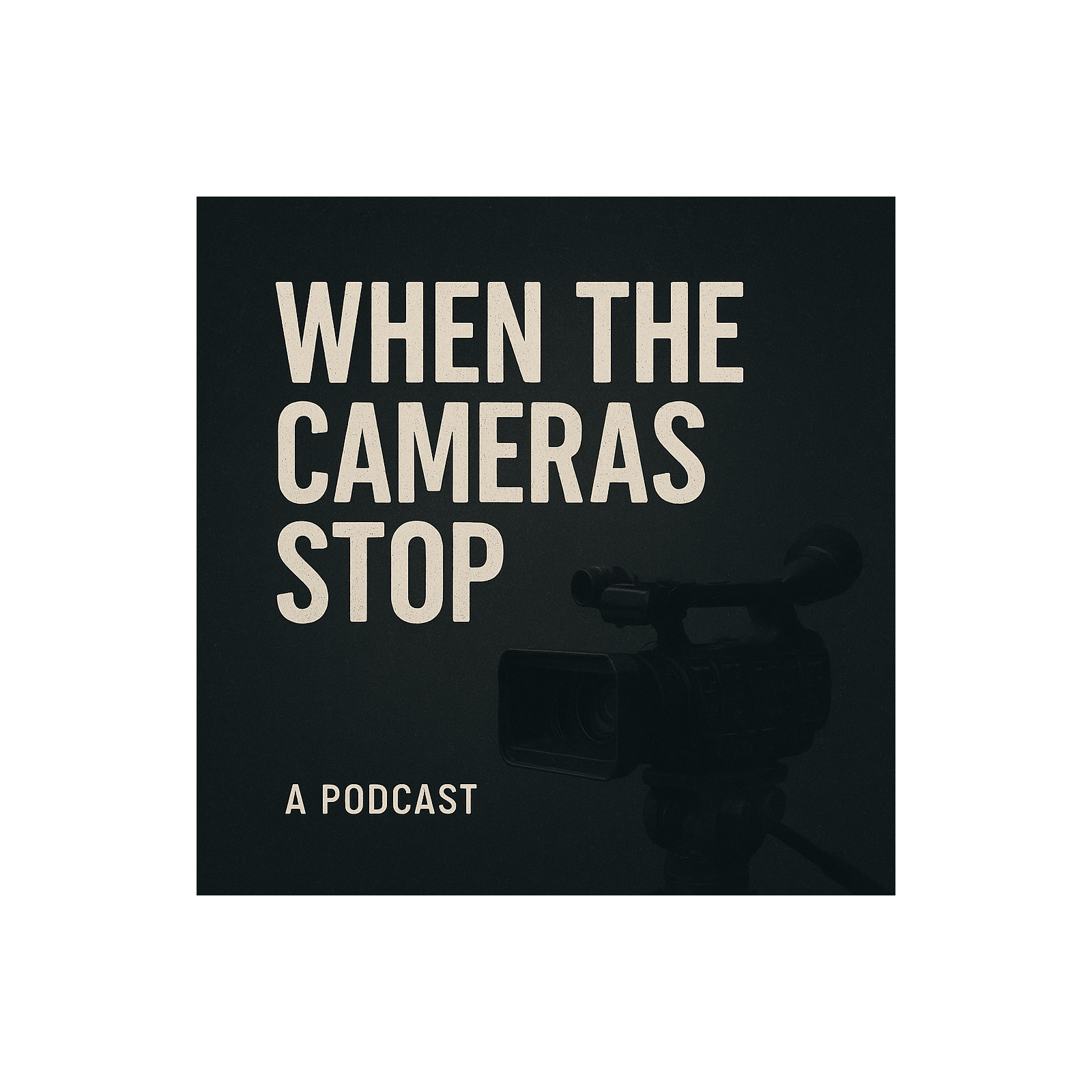 When The Cameras Stop cover art