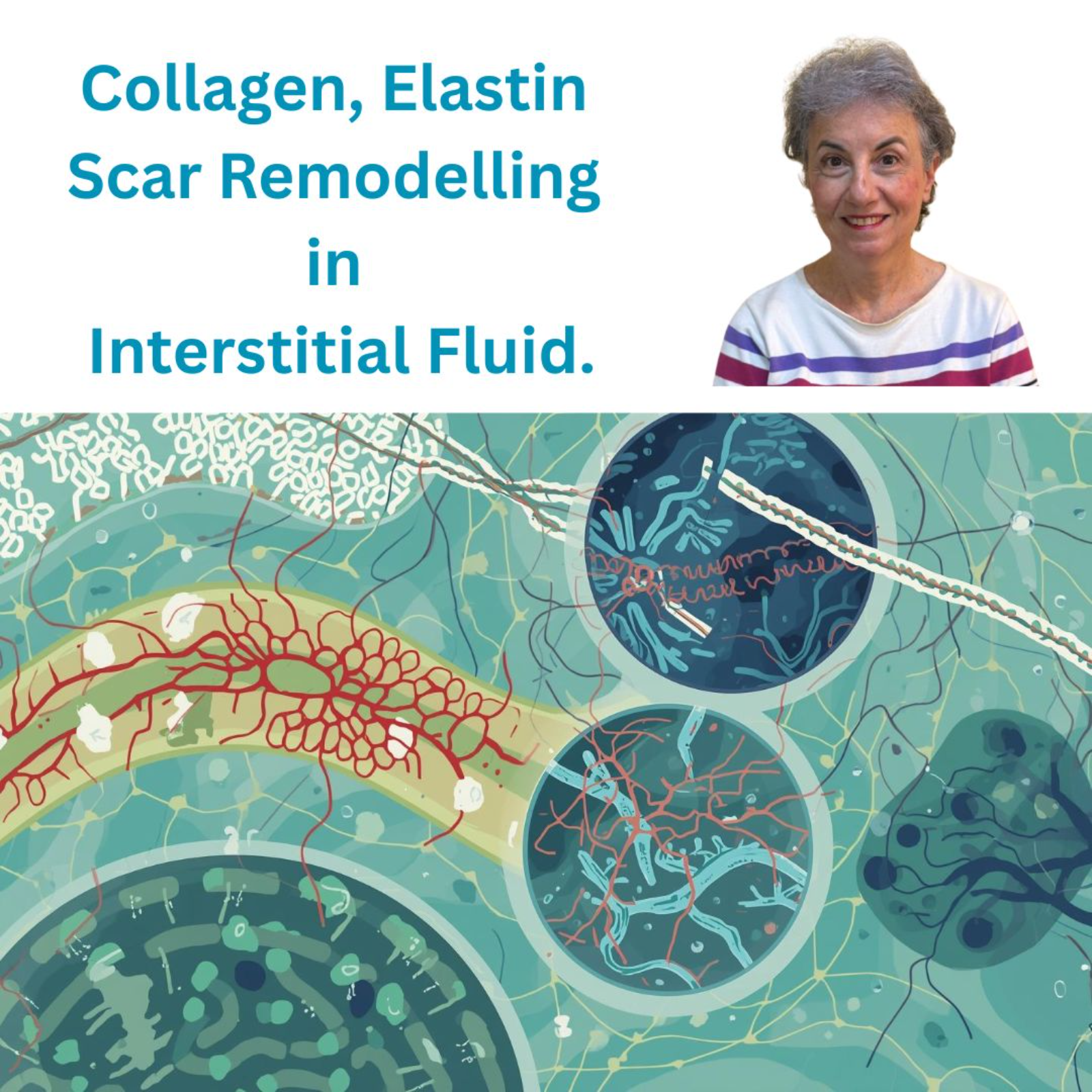 Collagen, Fascia, Hydration & the Interstitium episode artwork