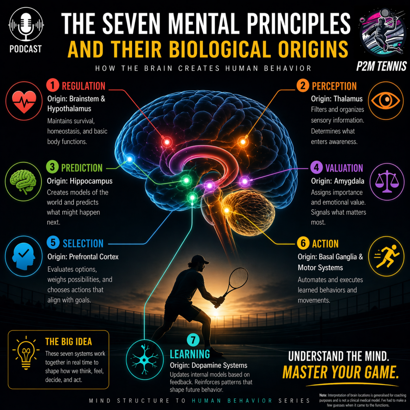 🎾Episode 2 (Mind Series): Where the 7 Human Mind Principles Live in the Brain🧠 episode artwork