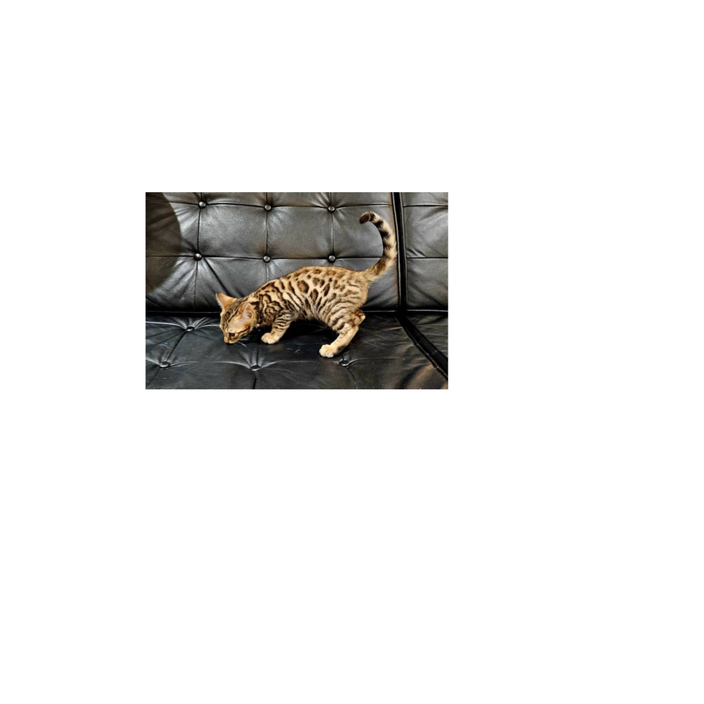 WRR 01 test