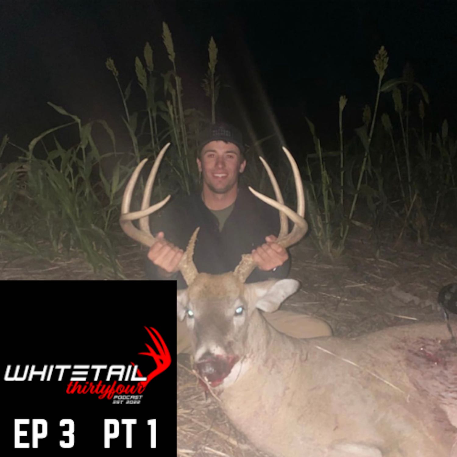 The Midwest Tines