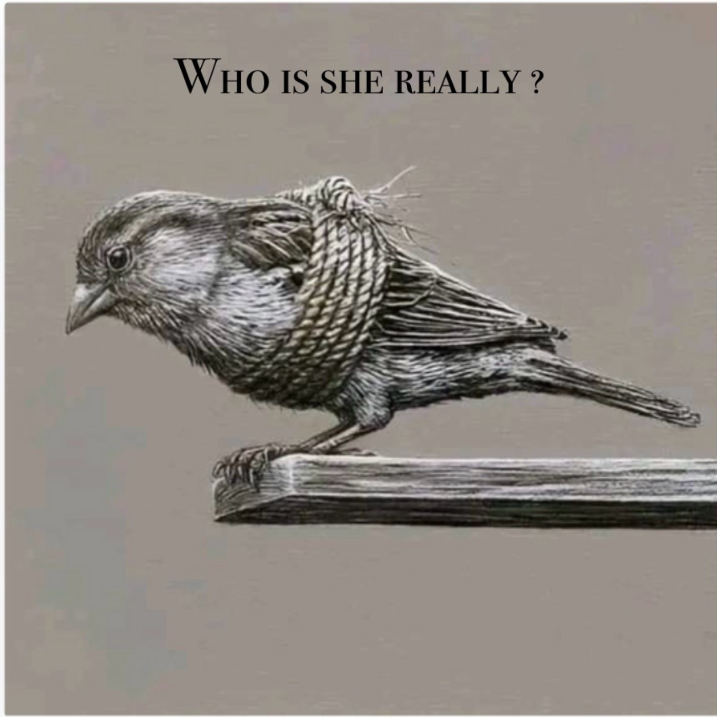 Who is she really ? Finding my Ancestors 