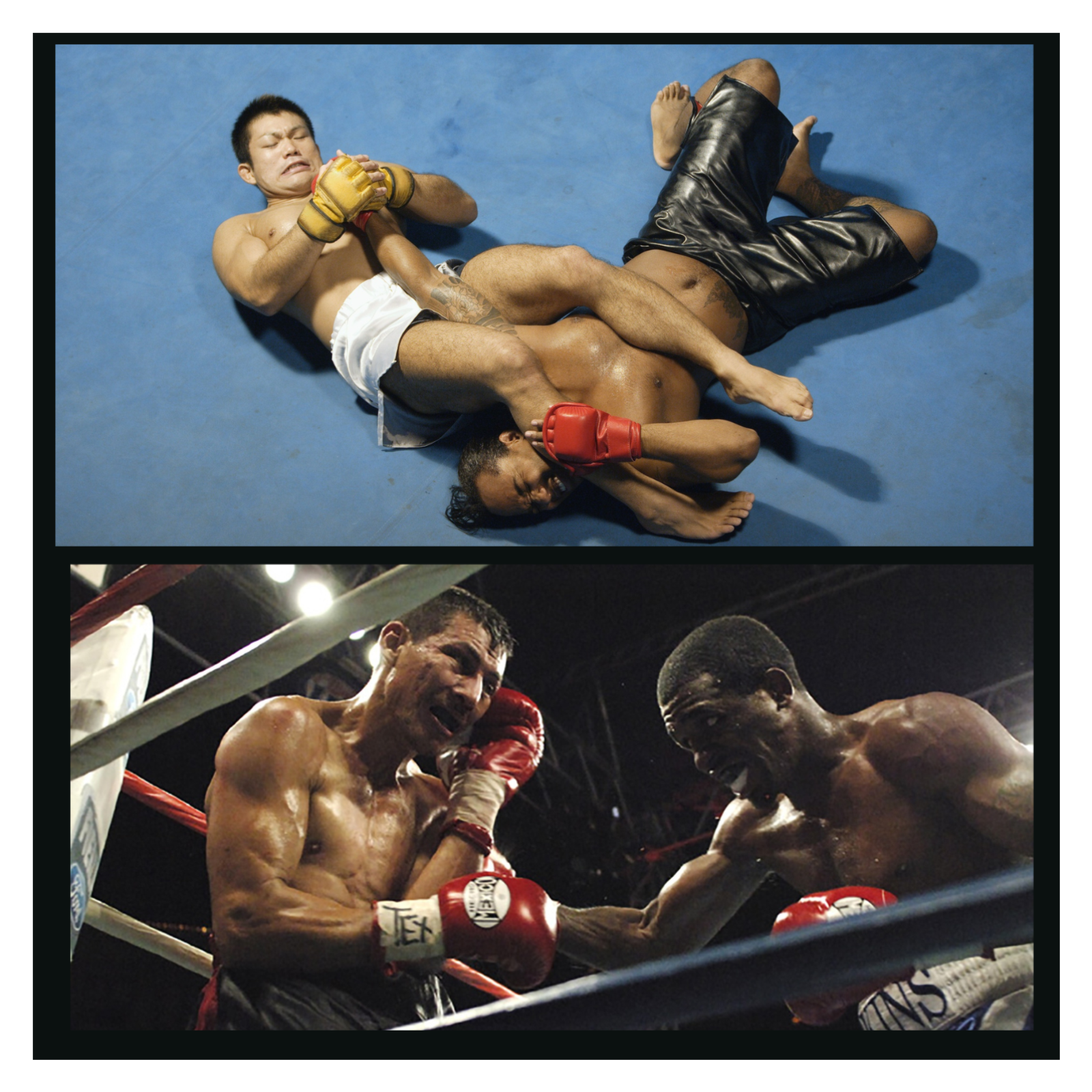 Who’s Next? Inside the Fight Game episode artwork