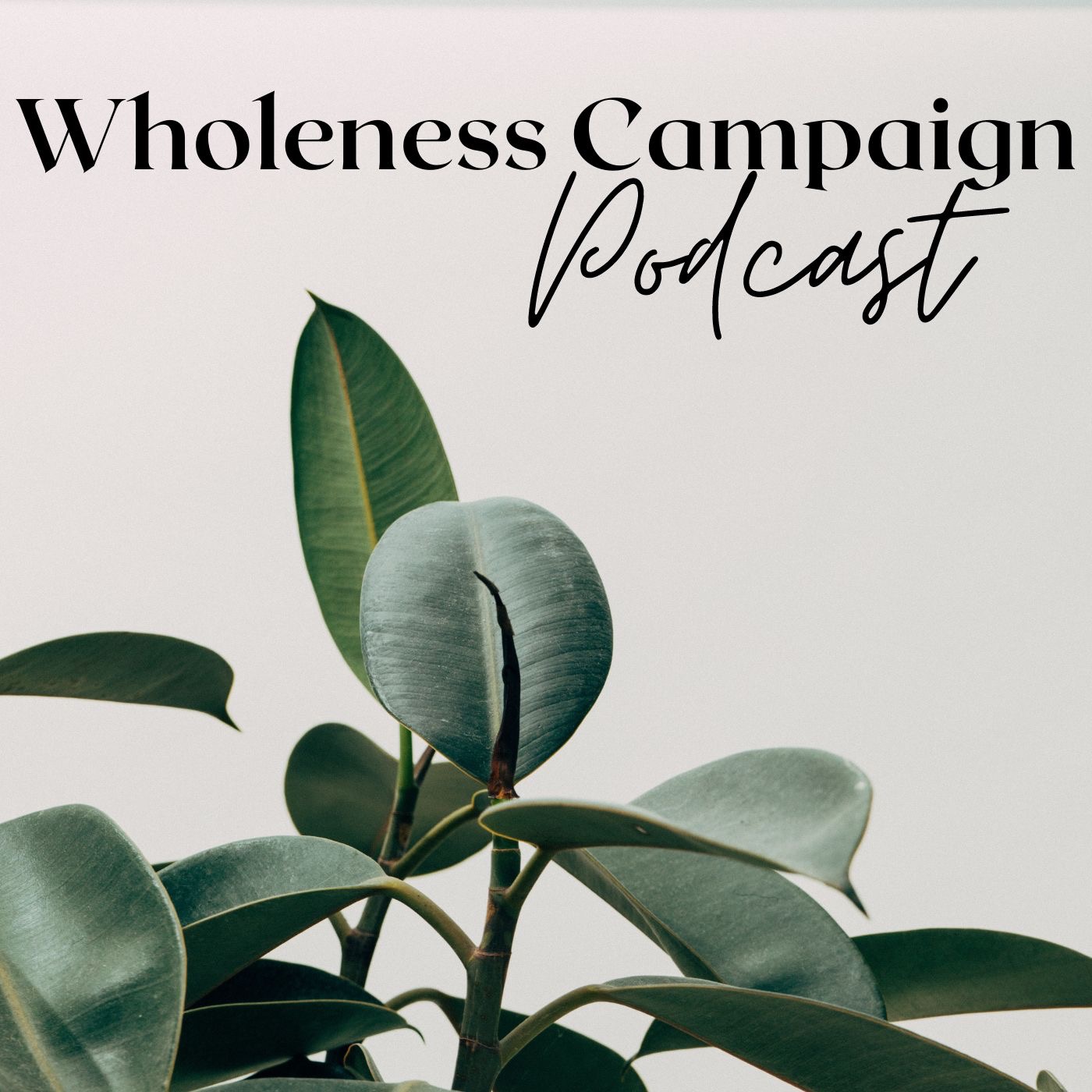 Wholeness Campaign Podcast