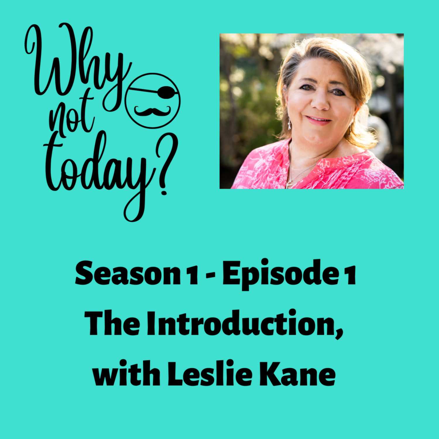 Why Not Today? with Leslie Kane