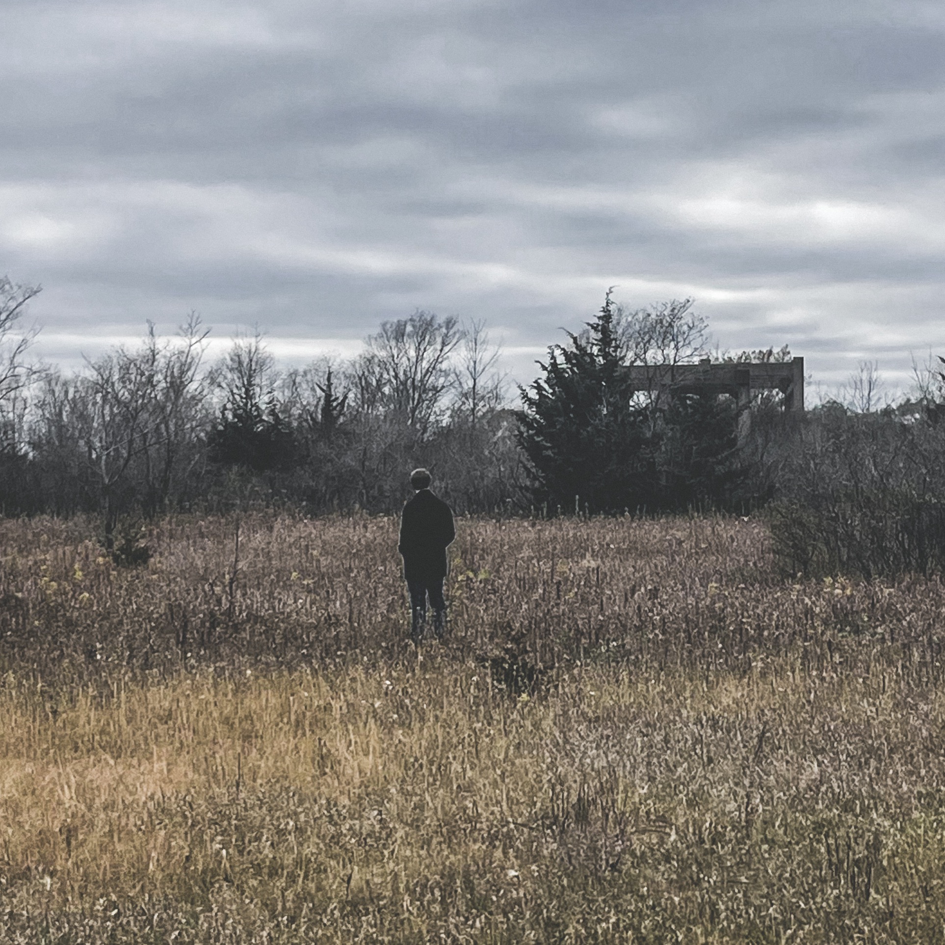 Courtship with music