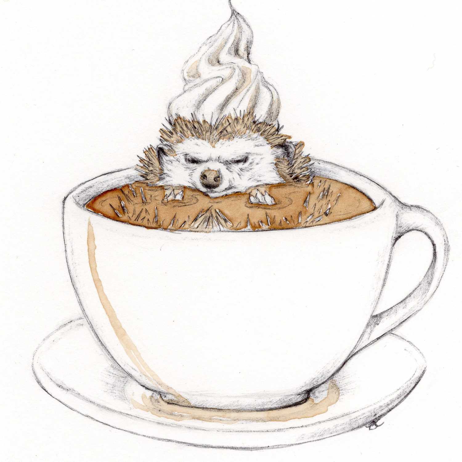 WildBrewed