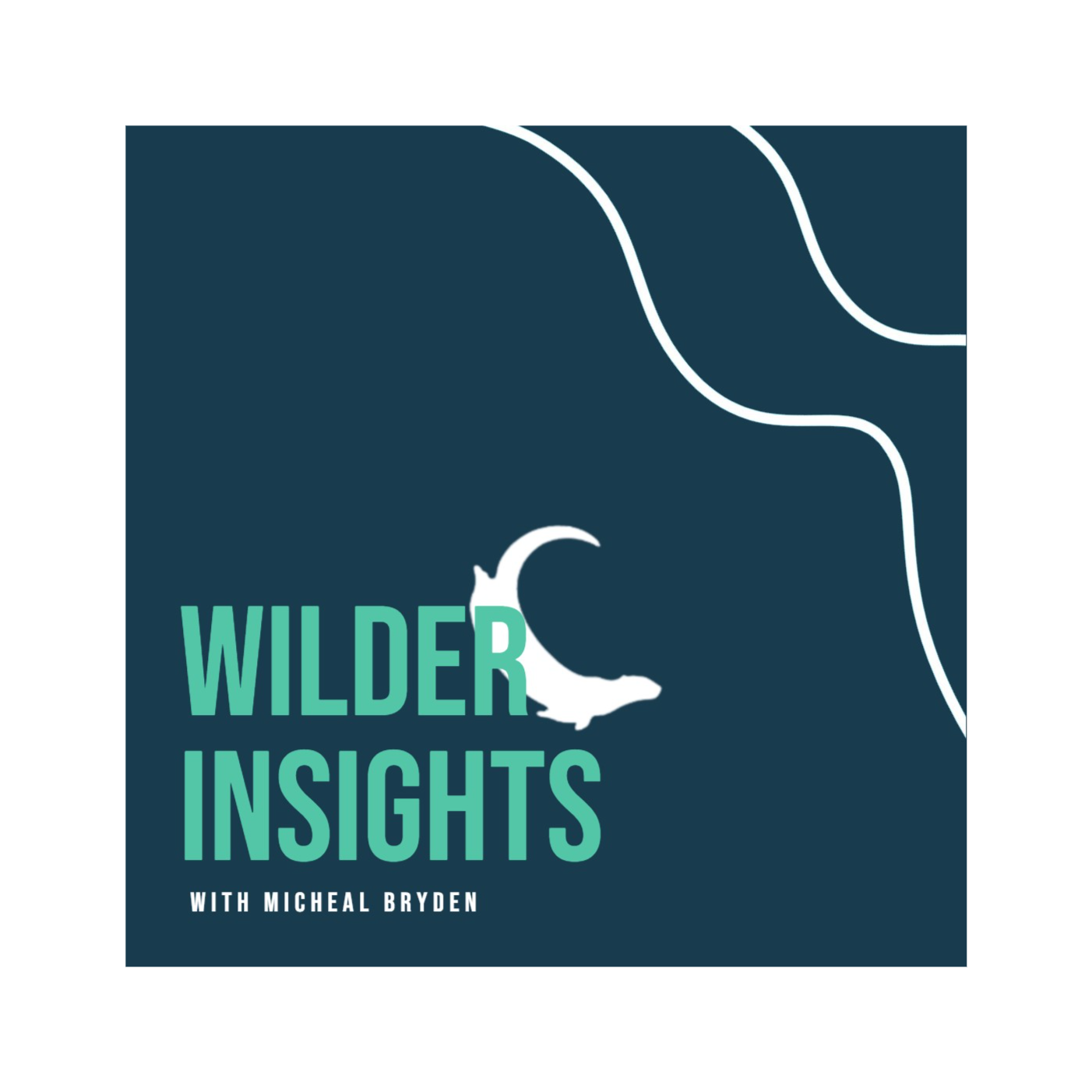 Wilder Insights