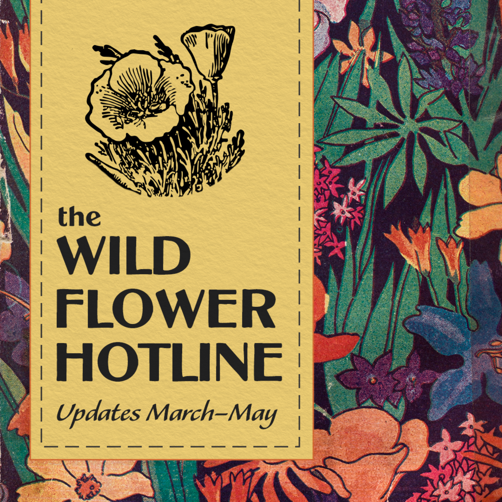 The Wild Flower Hotline