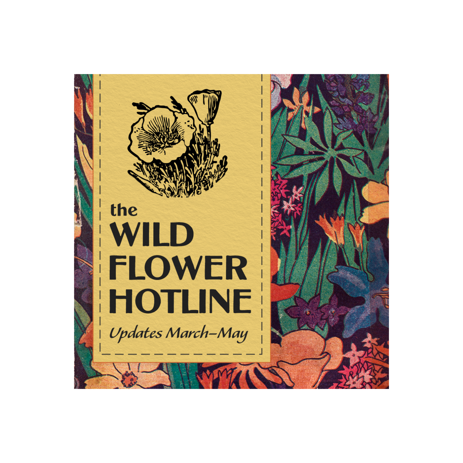 Wild Flower Hotline May 8, 2026 episode artwork