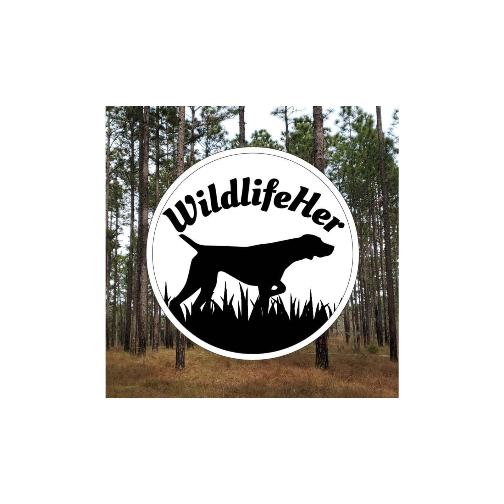 Did You Hear That? Listening for Change.