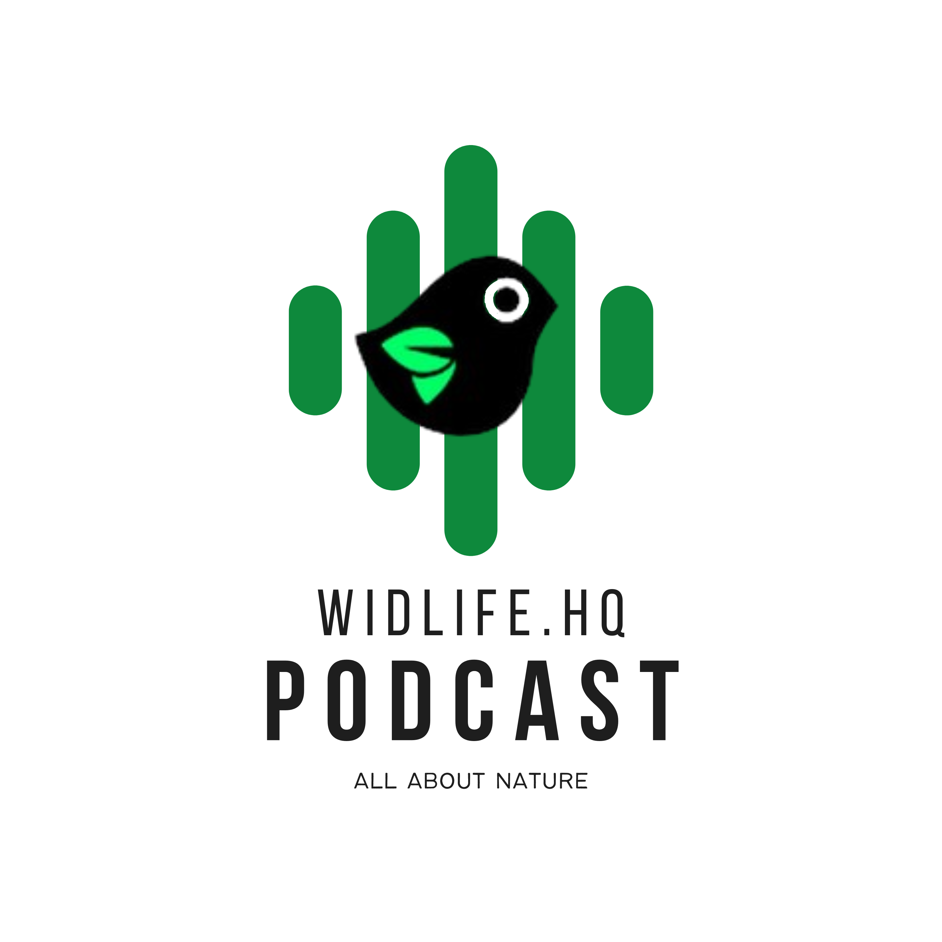 Wildlifehq Podcast
