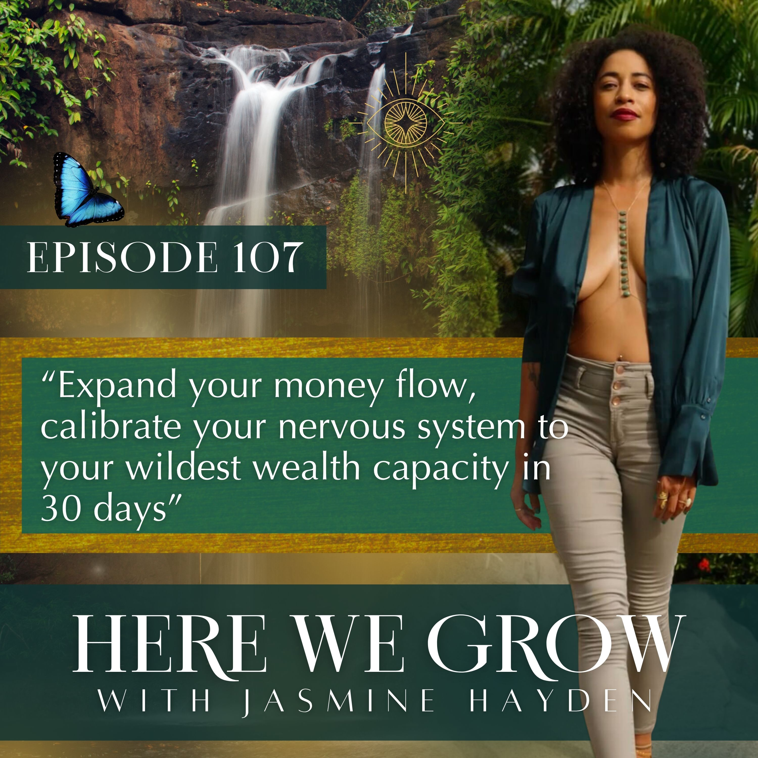 EP 107: Expand your money flow, calibrate your nervous system to your wildest wealth capacity in 30 days episode artwork
