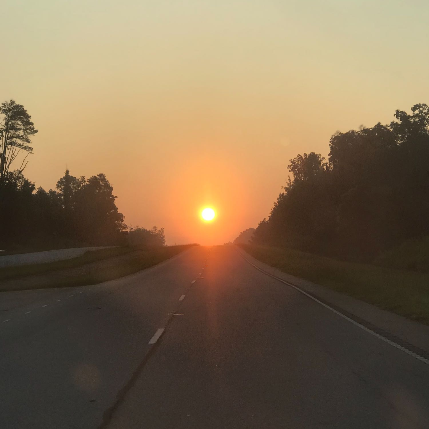Through The Windshield 