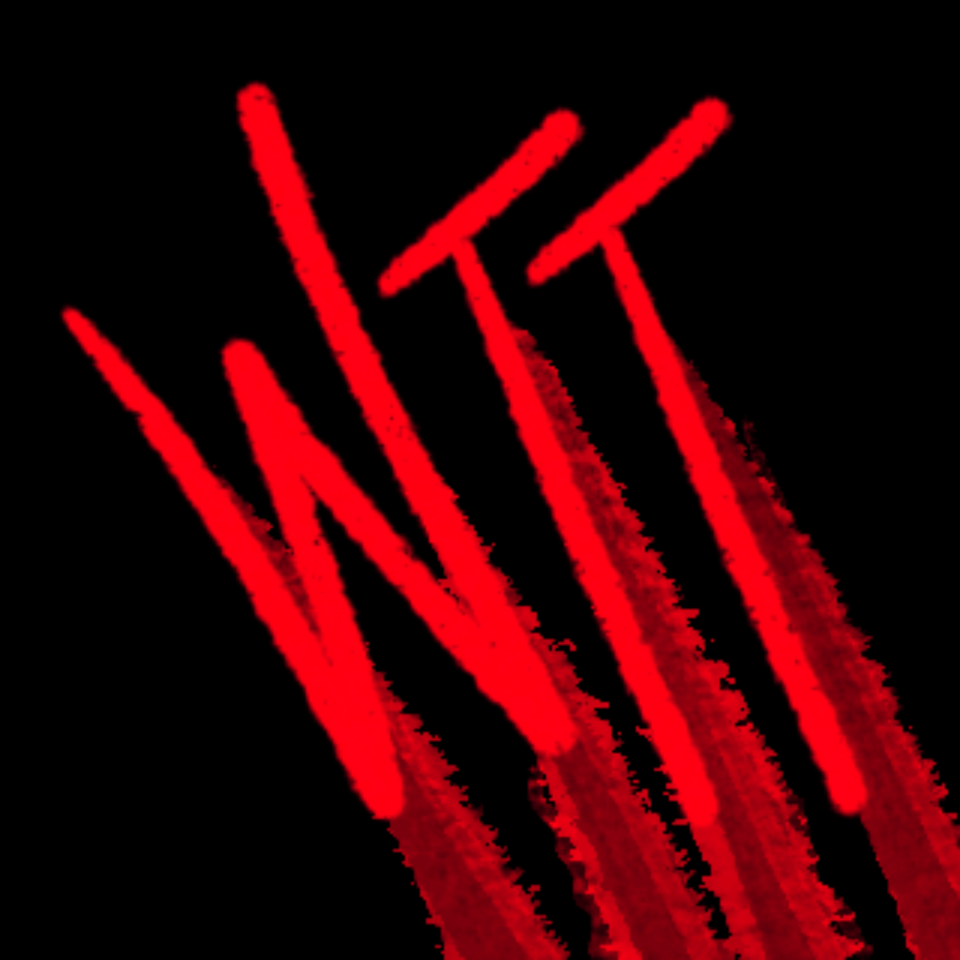 Winning Time Tapes