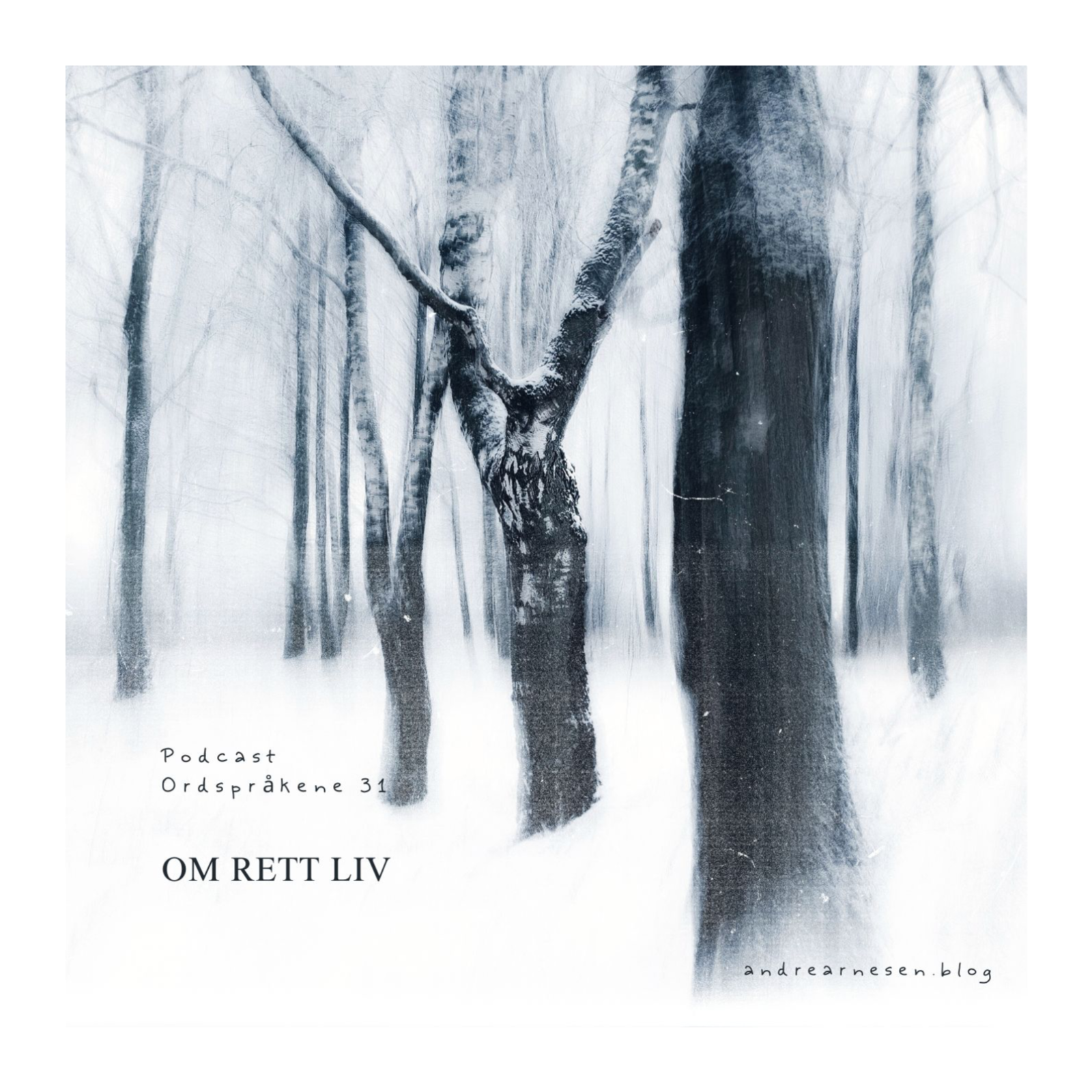 Dagens Ordspråkene - Lyd opptak