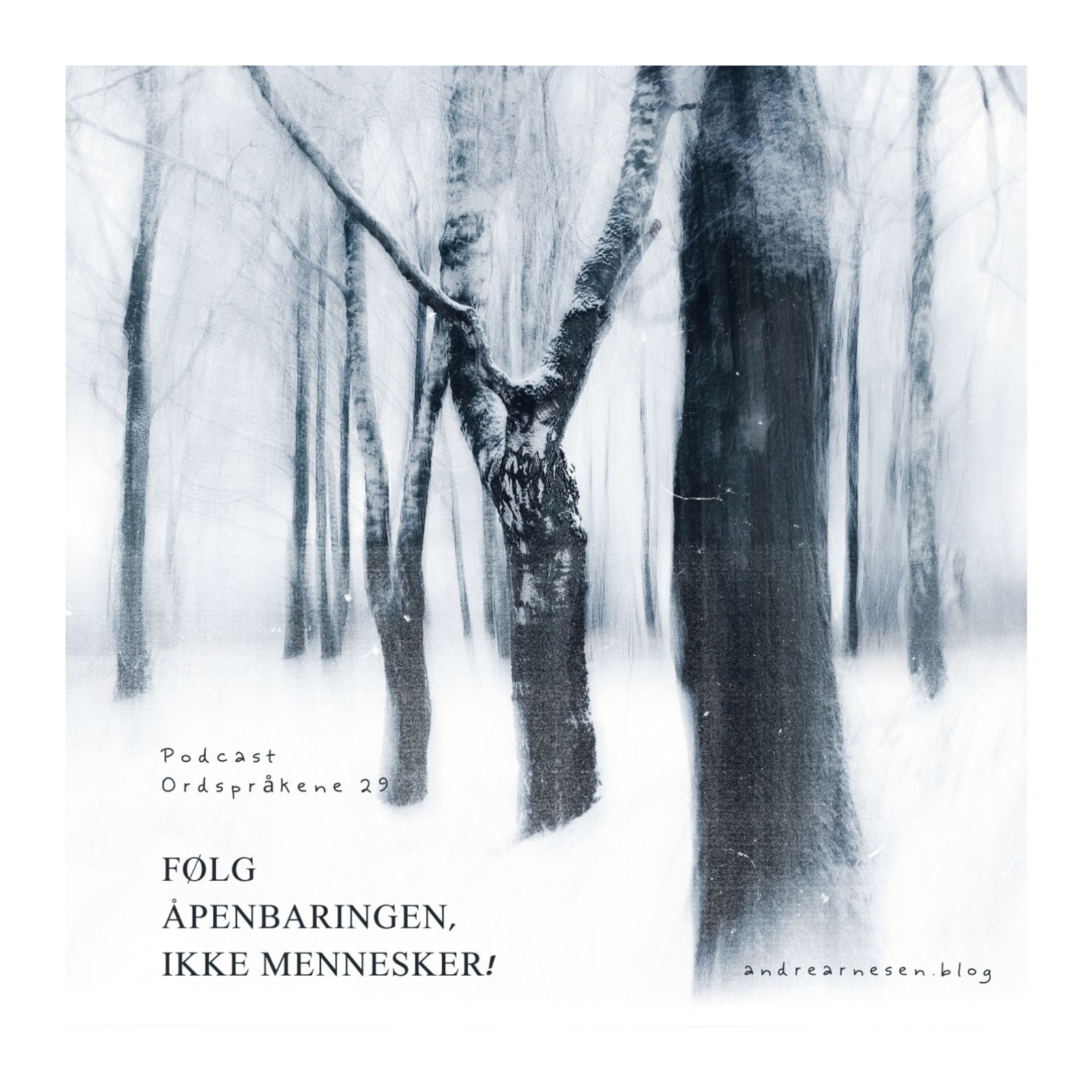 Dagens Ordspråkene - Lyd opptak