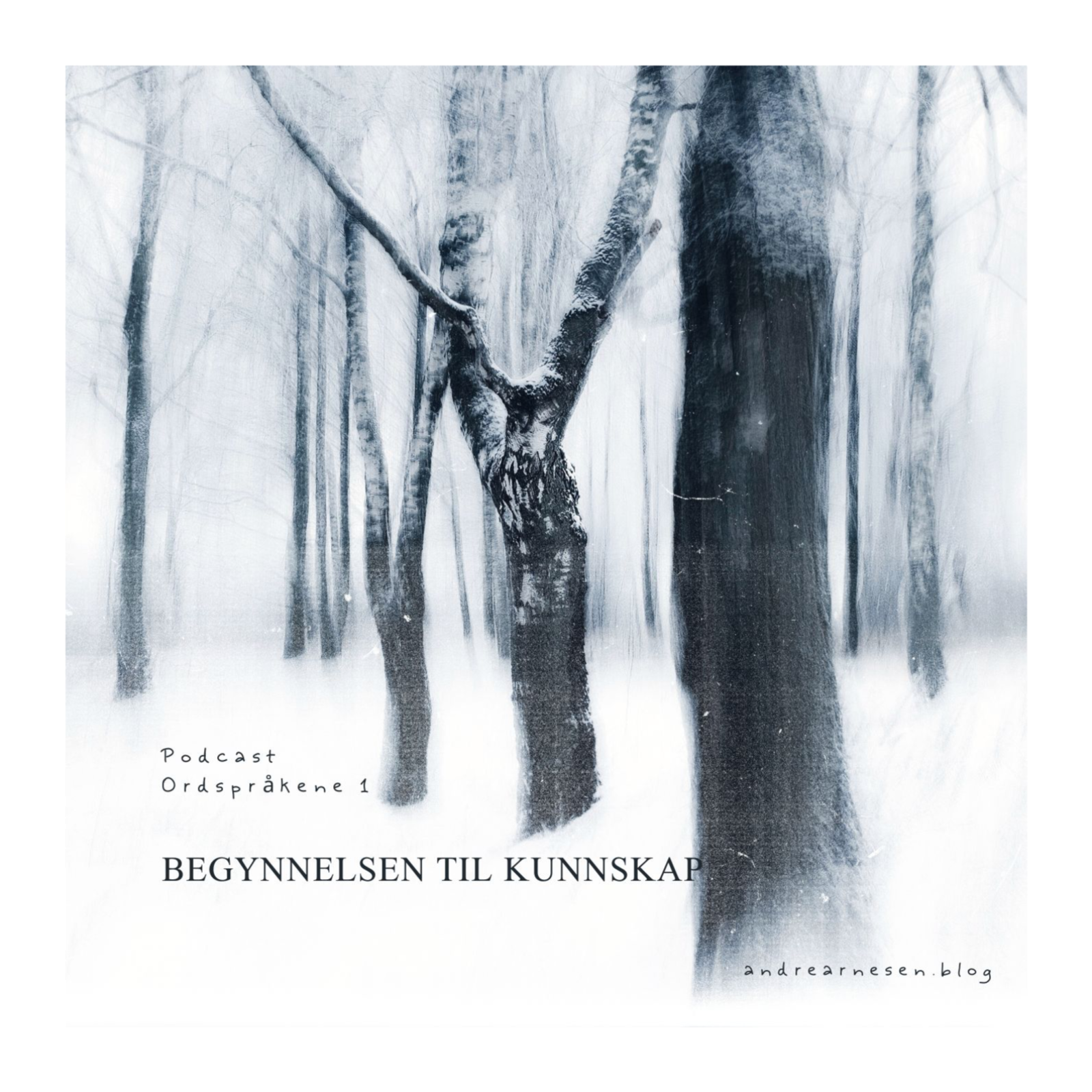 Dagens Ordspråkene - Lyd opptak