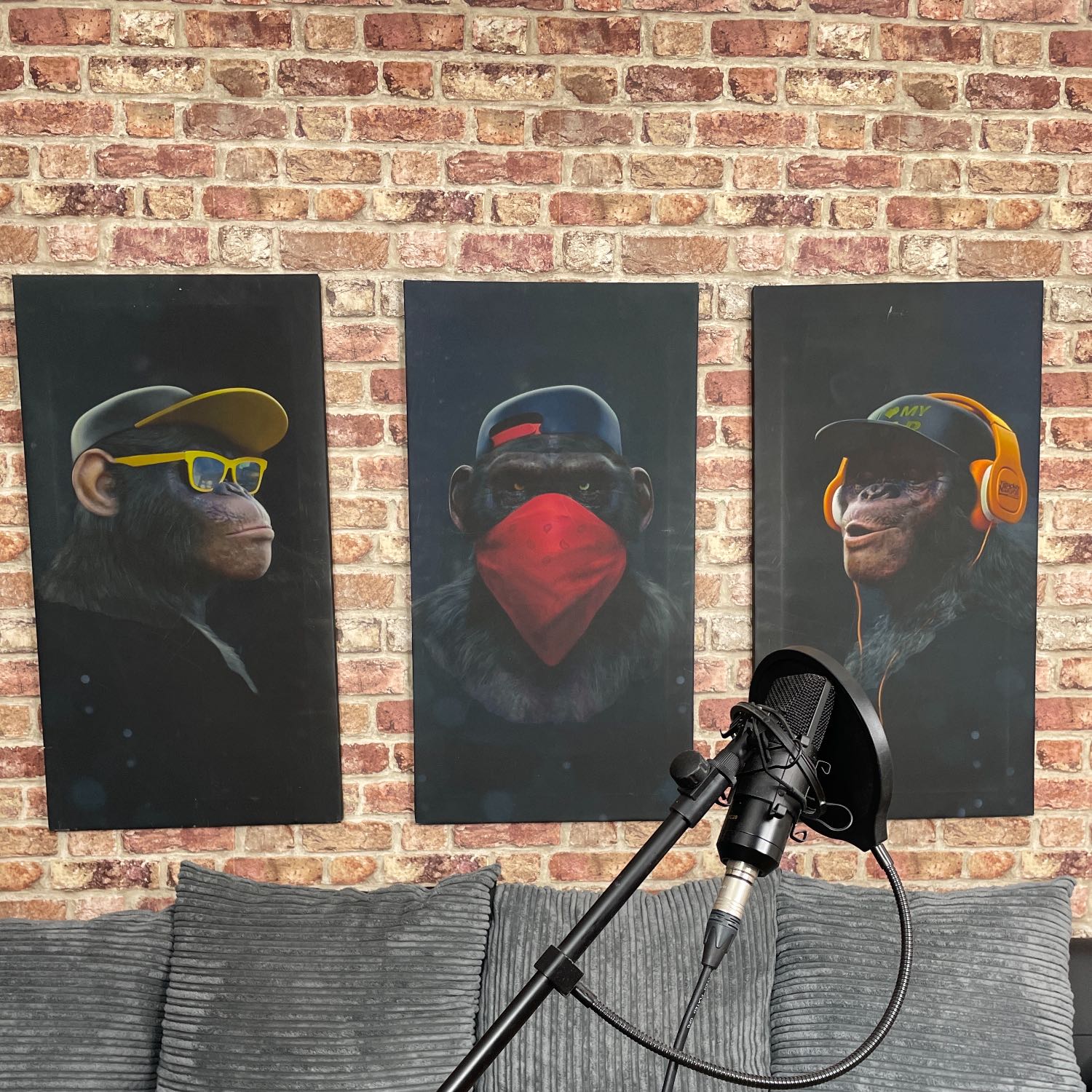 WISE MONKEYS PODCAST
