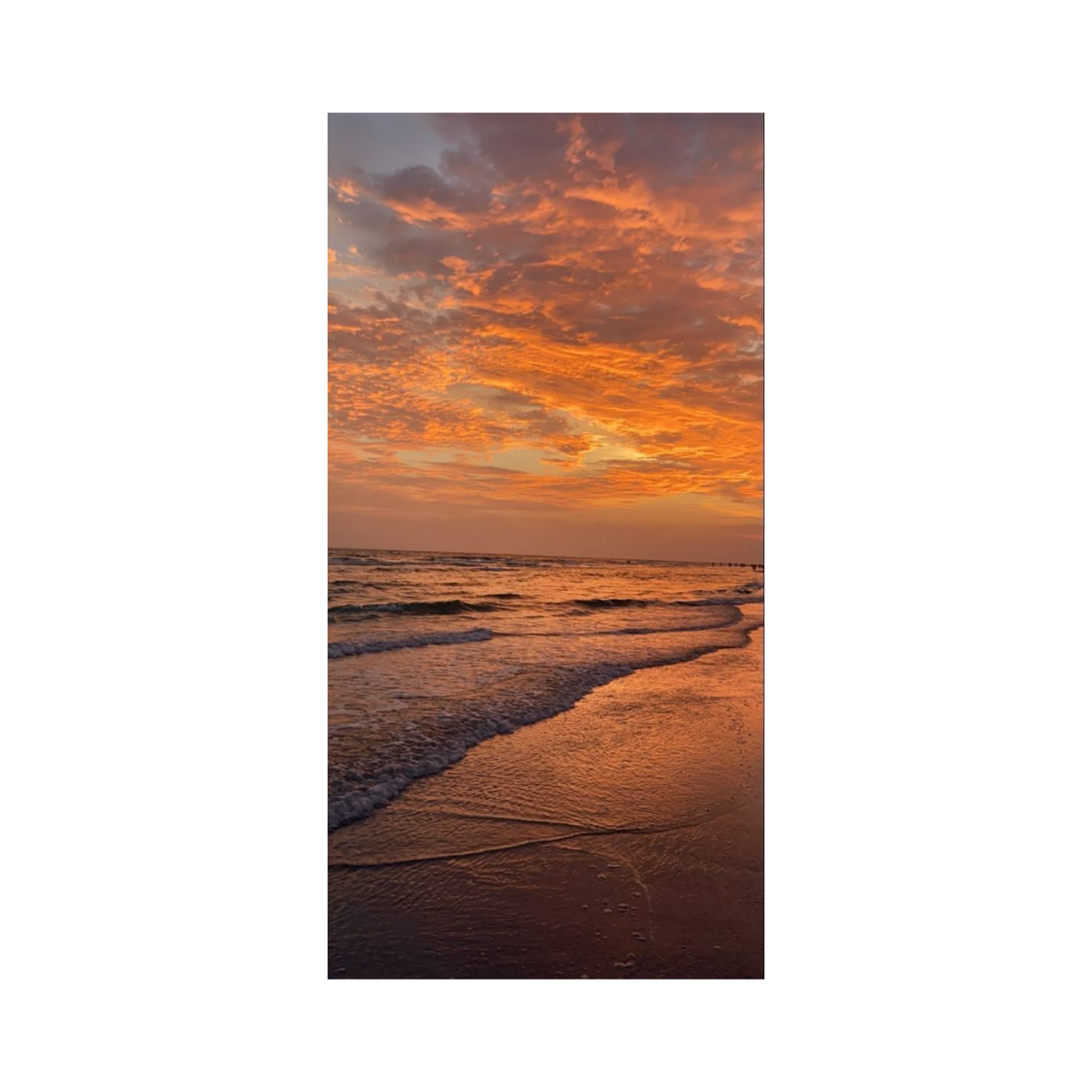 wish you have a good day