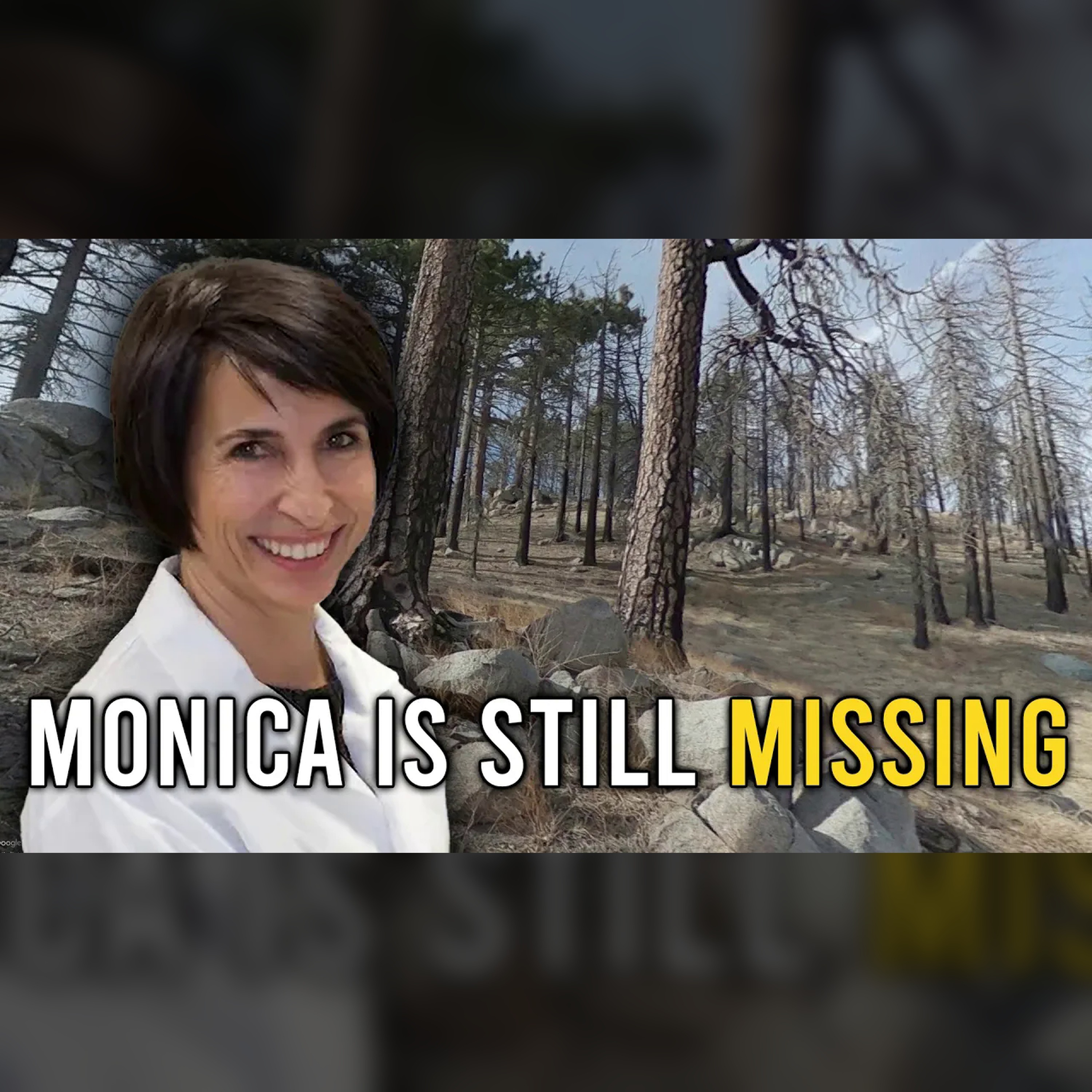 Monica Reza and the Intellectual Disappearance Problem episode artwork