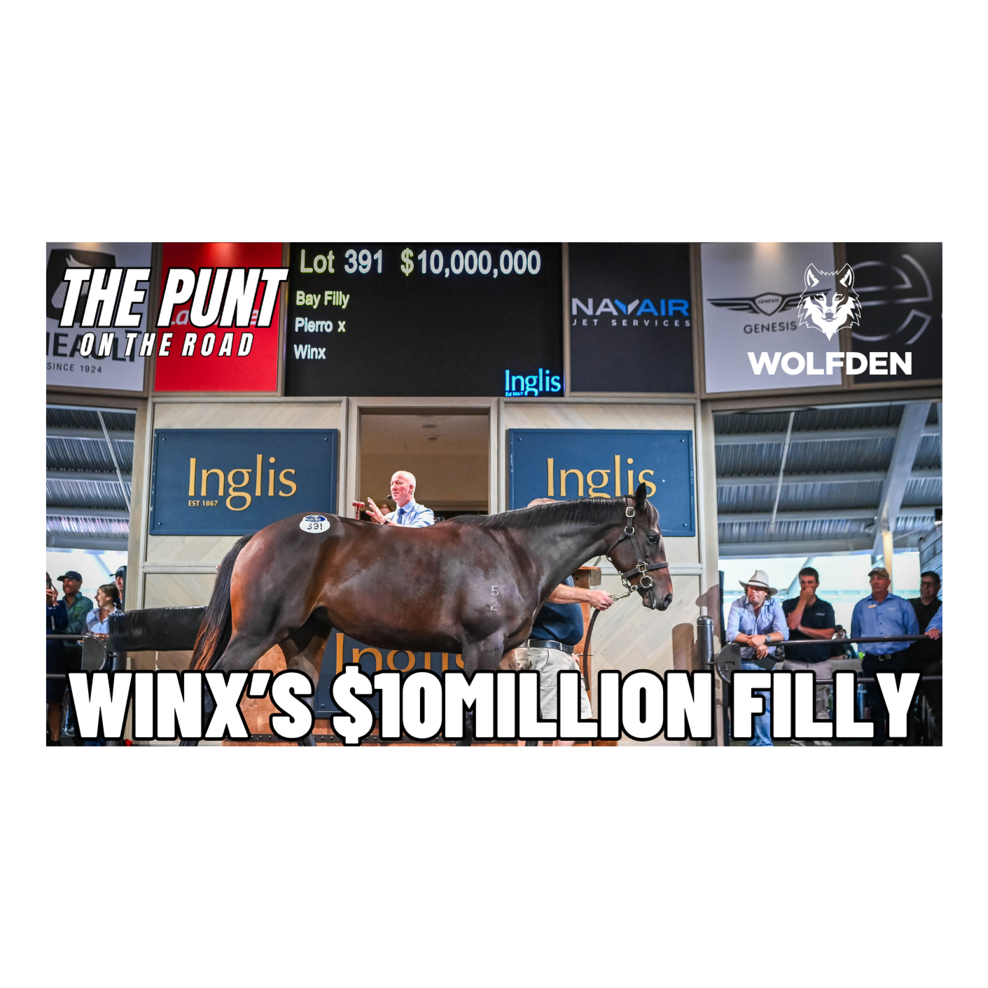 THE PUNT (on the road): WINX'S $10 MILLION FILLY