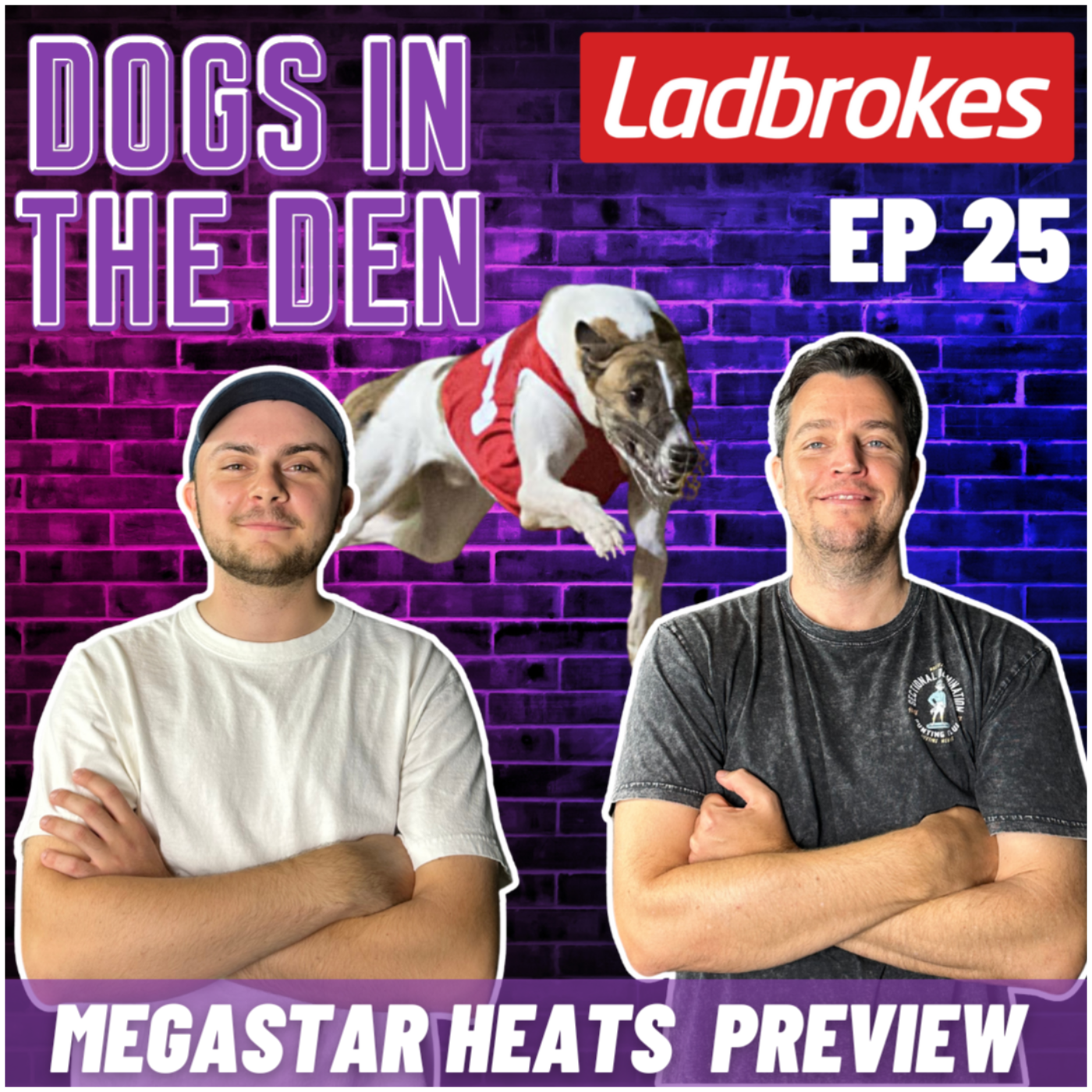 DOGS IN THE DEN EP 25: LADBROKES MEGASTAR HEATS PREVIEW