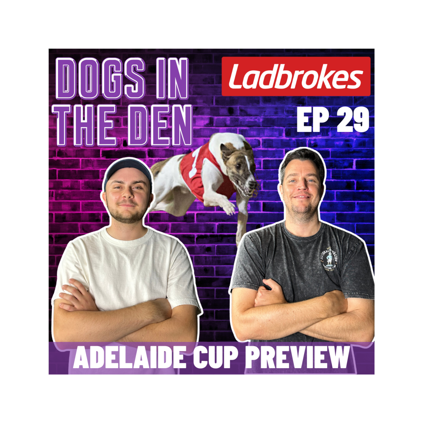 DOGS IN THE DEN: EP 29 - ADELAIDE CUP PREVIEW!