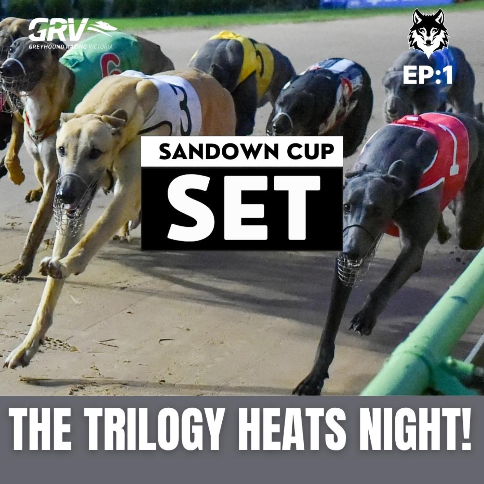 THE SANDOWN CUP SET EP 1: THE TRILOGY HEATS NIGHT! episode artwork