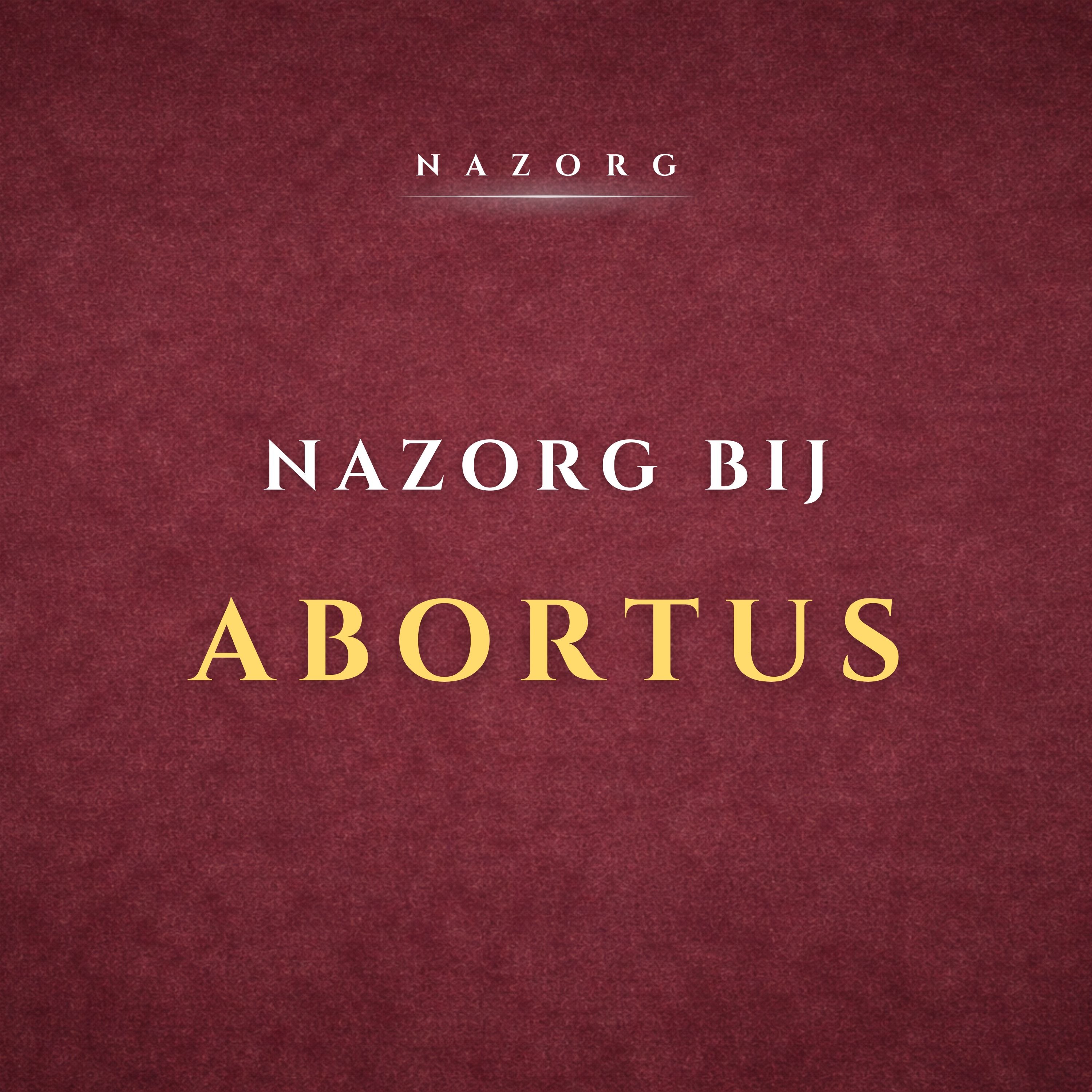 #30 Geef jezelf deze 3 lagen van holistische zorg na een abortus episode artwork