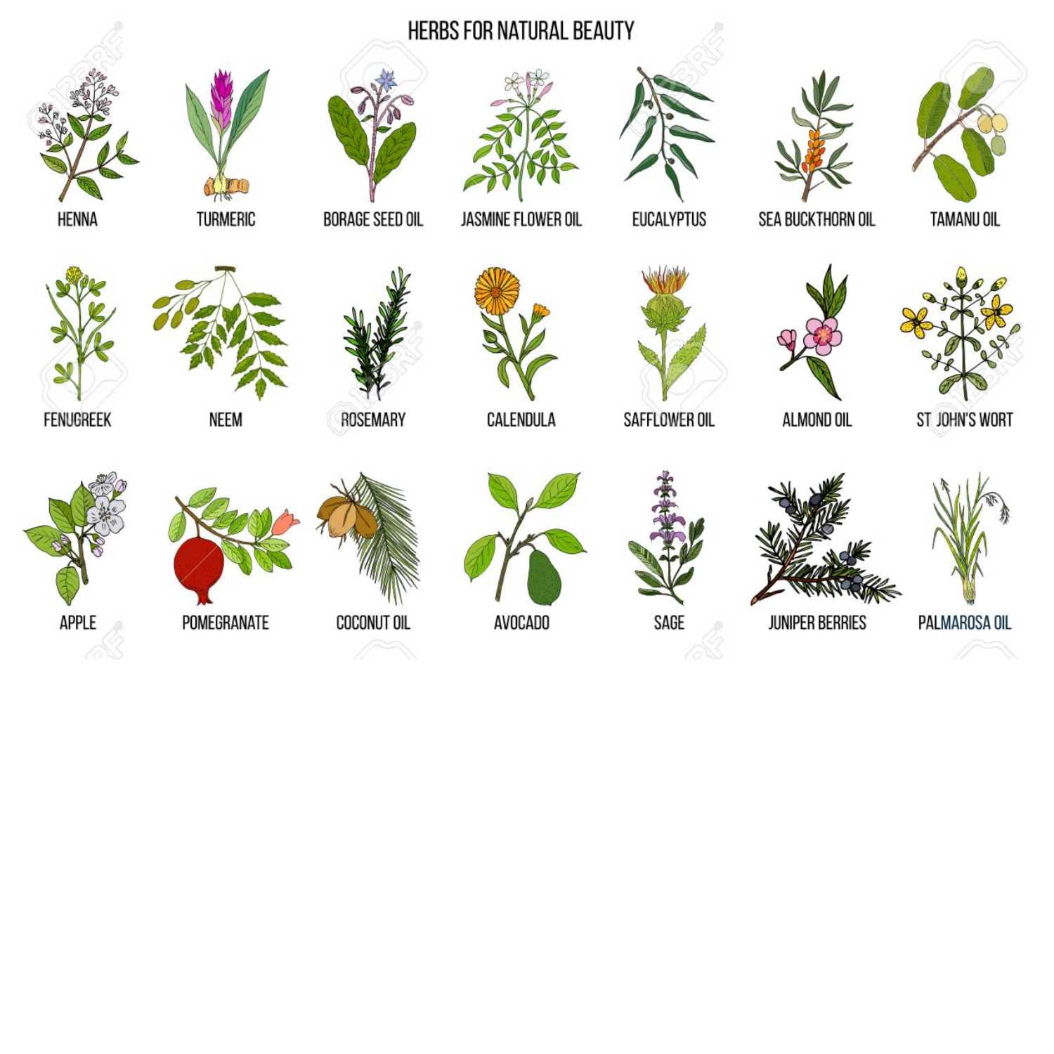 Unveiling the Power of Nature: Herbs for Beauty of Women episode artwork