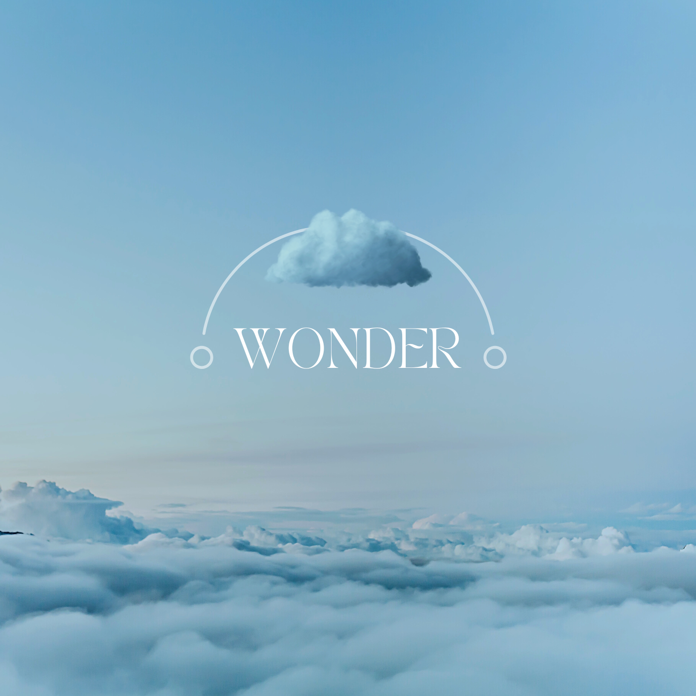 Wonder