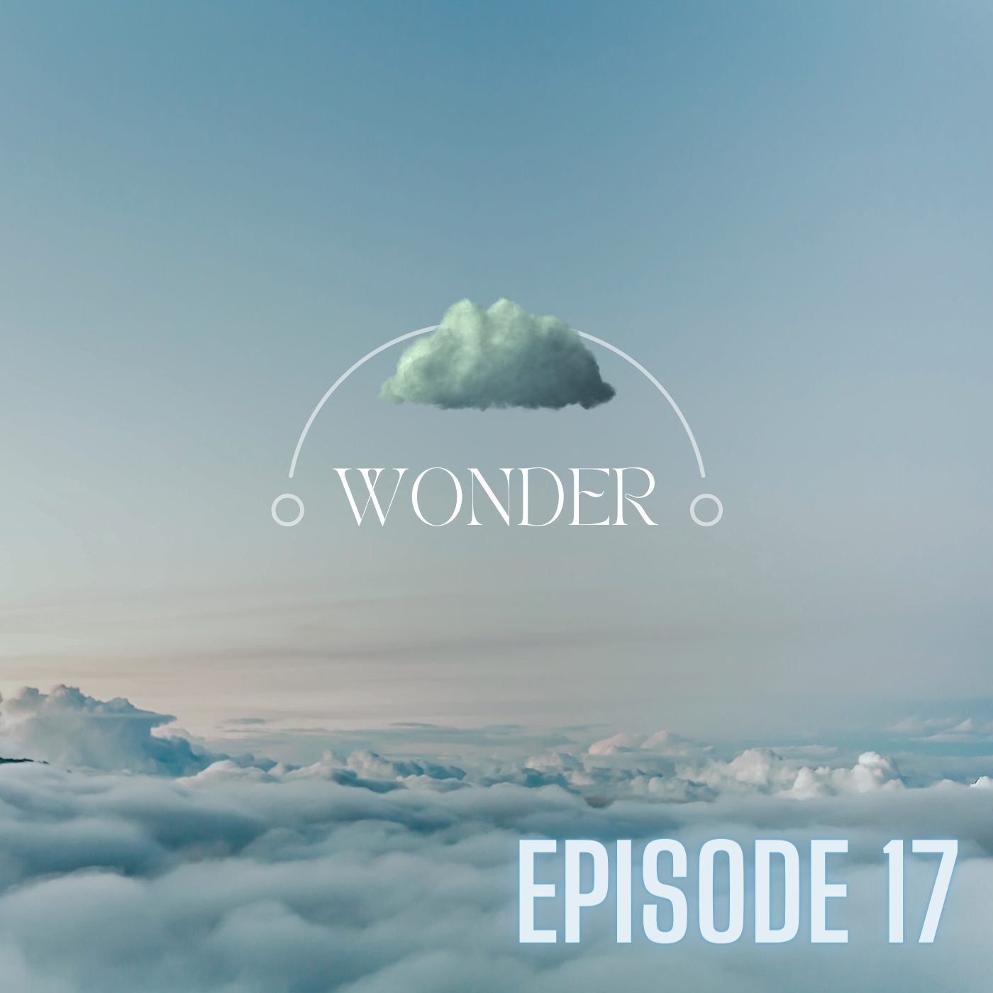 Episode 17: Why You Should Follow Your Dream episode artwork