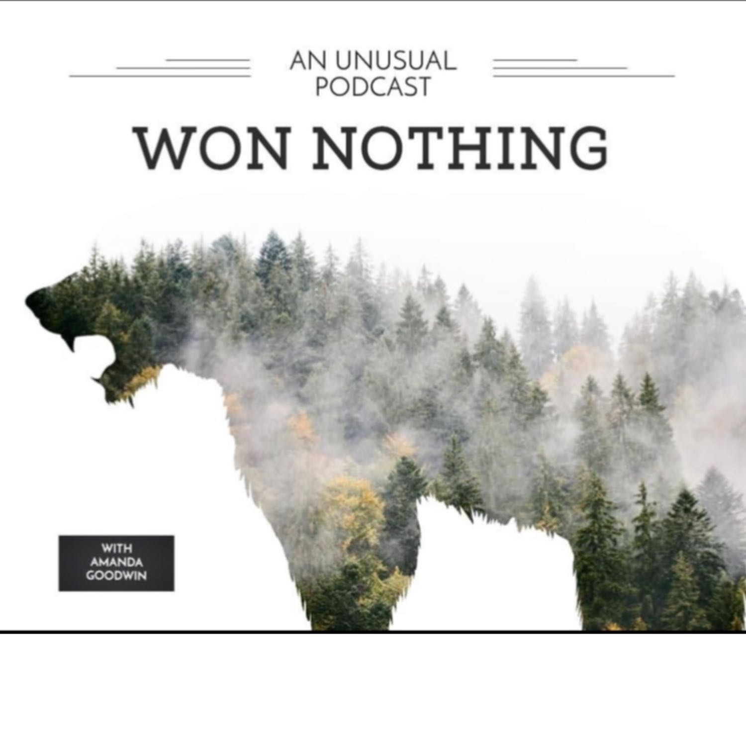 Won Nothing Podcast podcast artwork