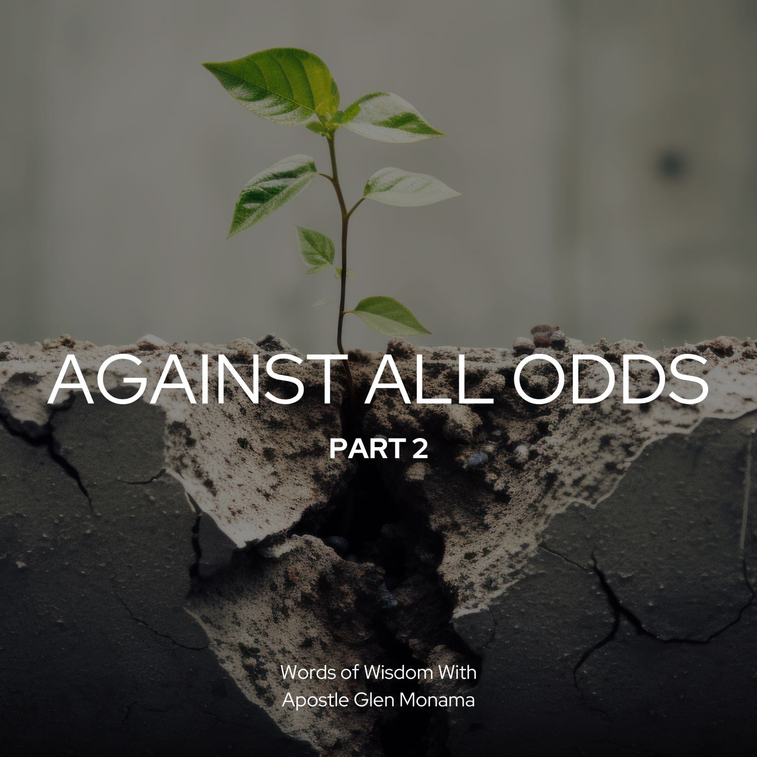 "Against All Odds - Part 2" [Sunday Service - 22 October 2023]  episode artwork