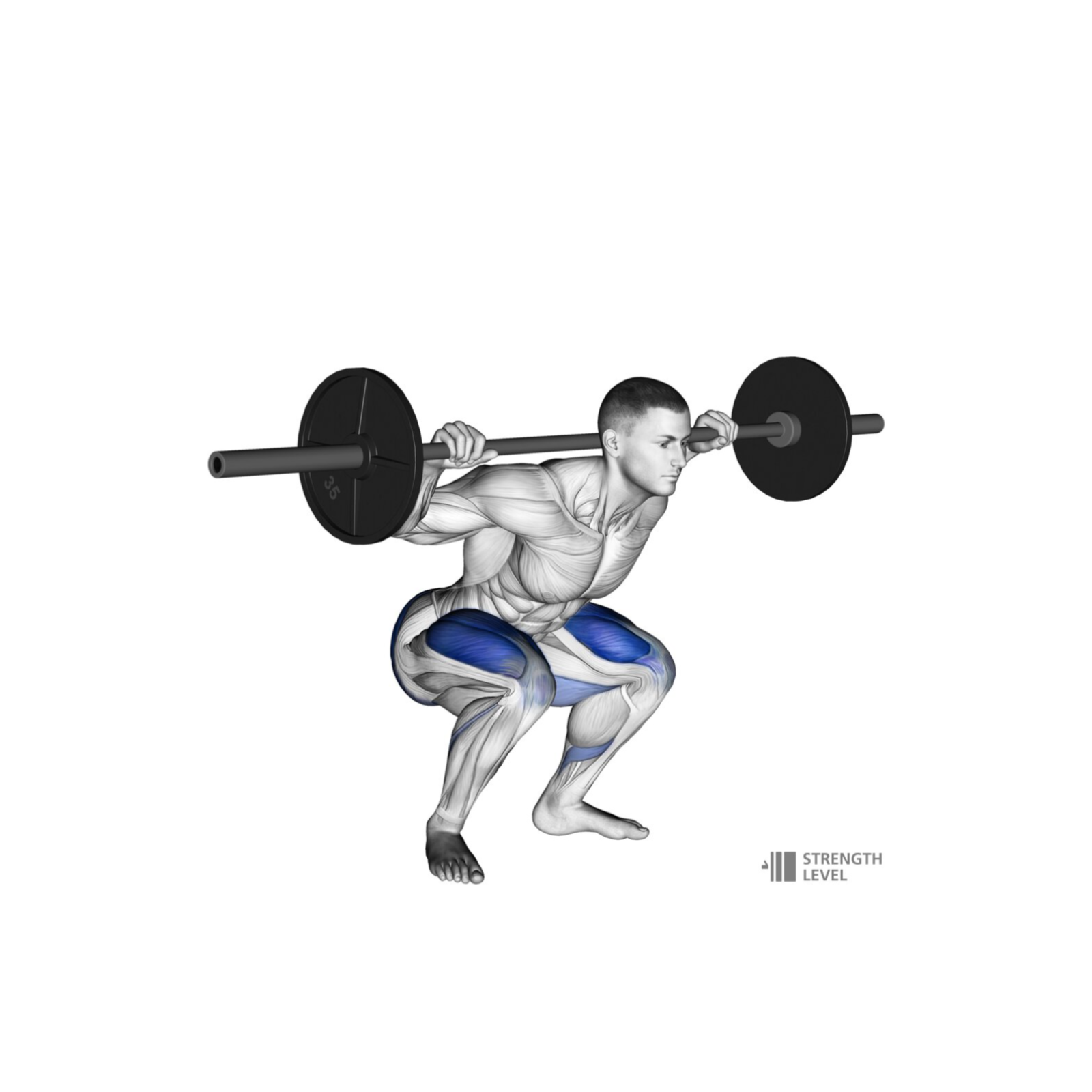 Workout Log cover art