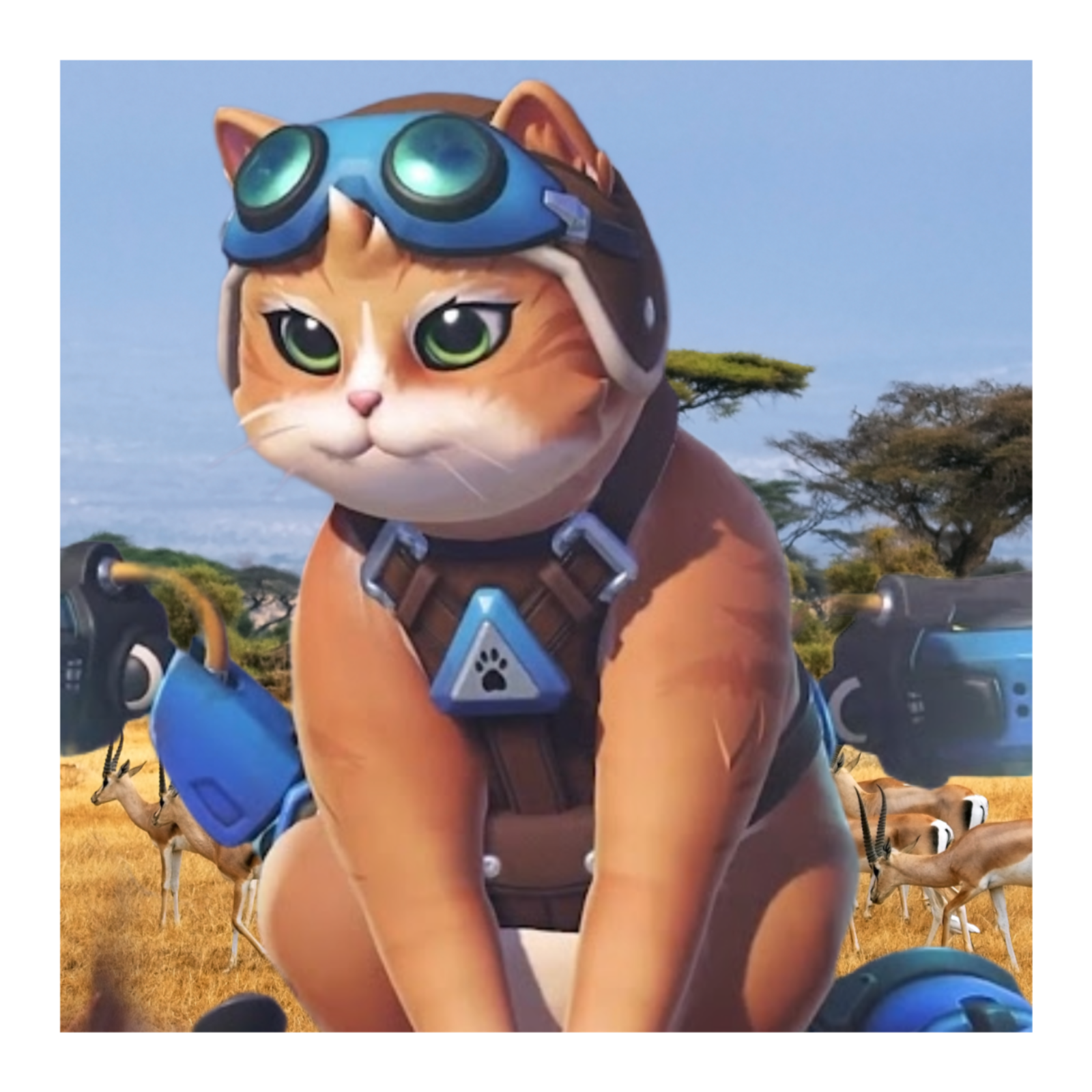 Inside South Africa's Wild Roster - Overwatch World Cup 2026 Team South Africa Preview (feat. Smiley and Condi) episode artwork