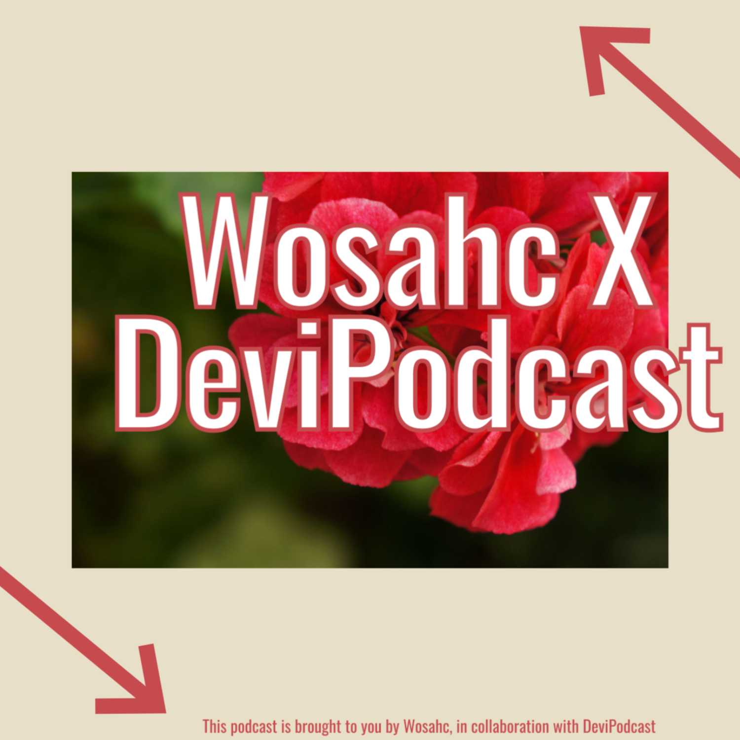 WosahcXDeviPodcast