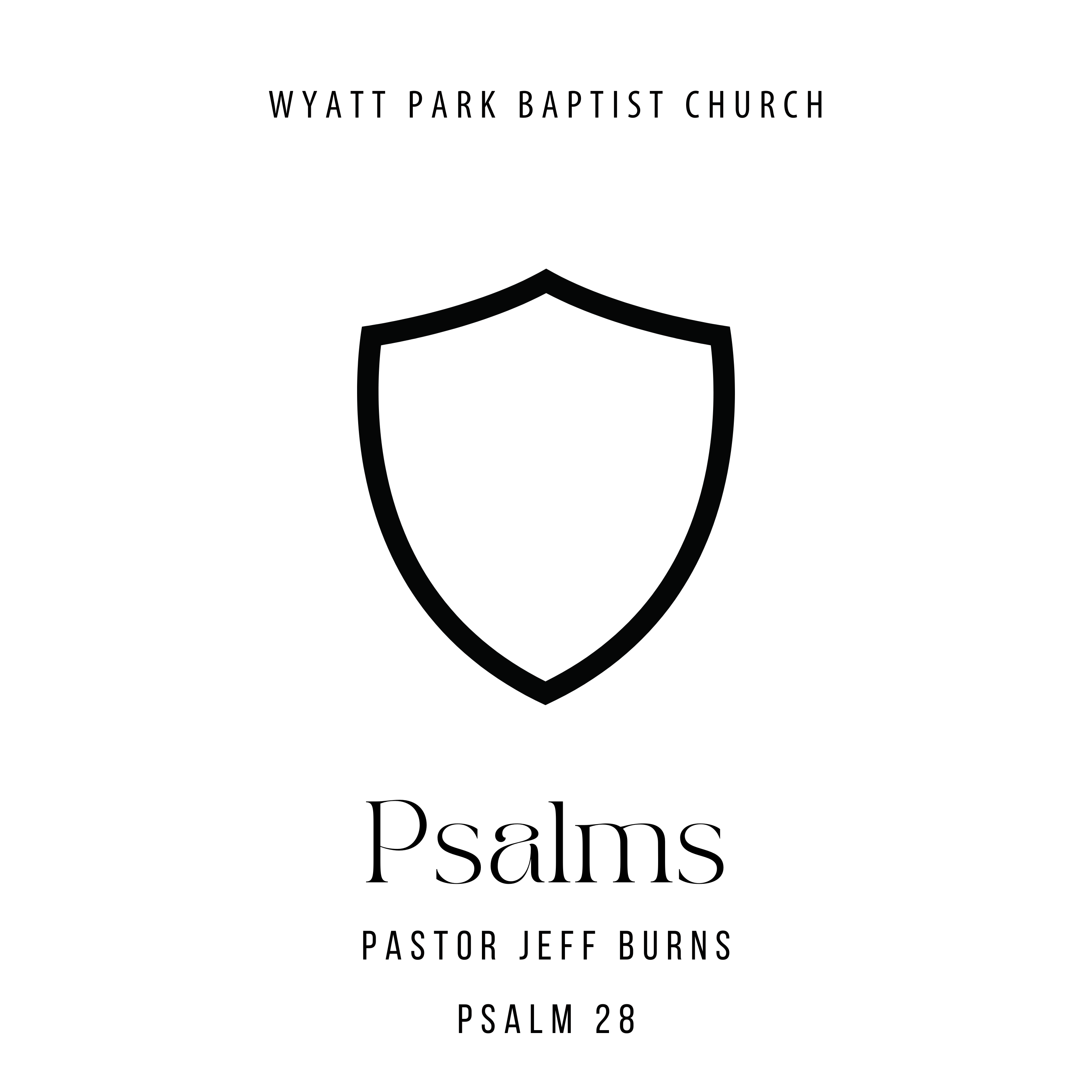 Sermon 8/9/26 - Psalm 28 episode artwork