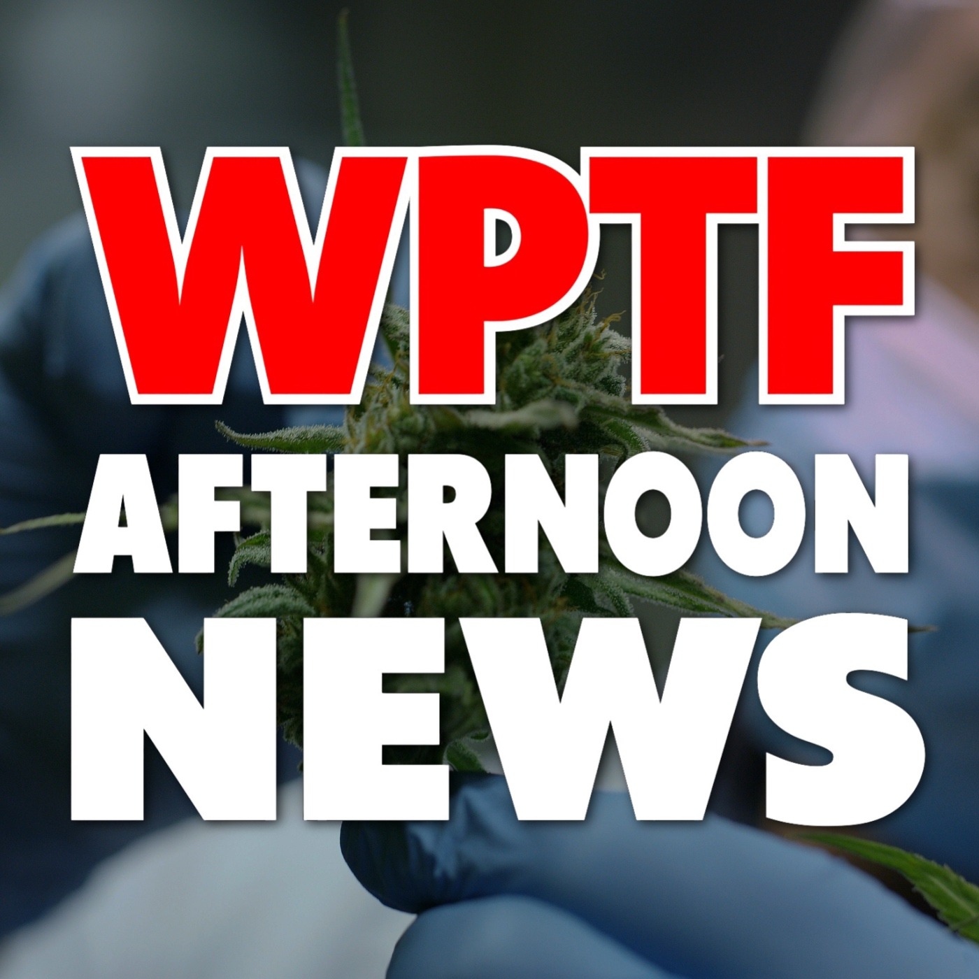 WPTF Afternoon News
