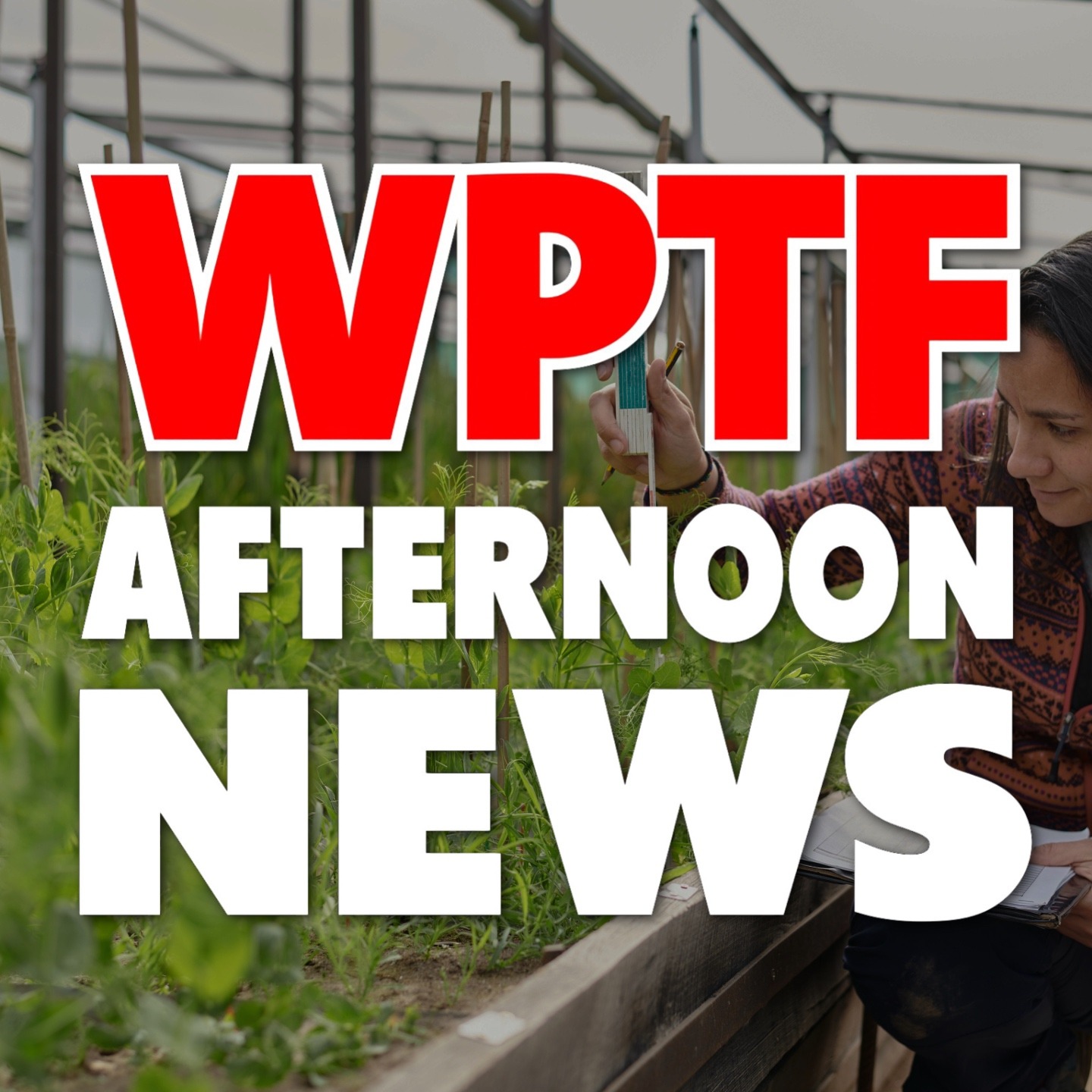 WPTF Afternoon News