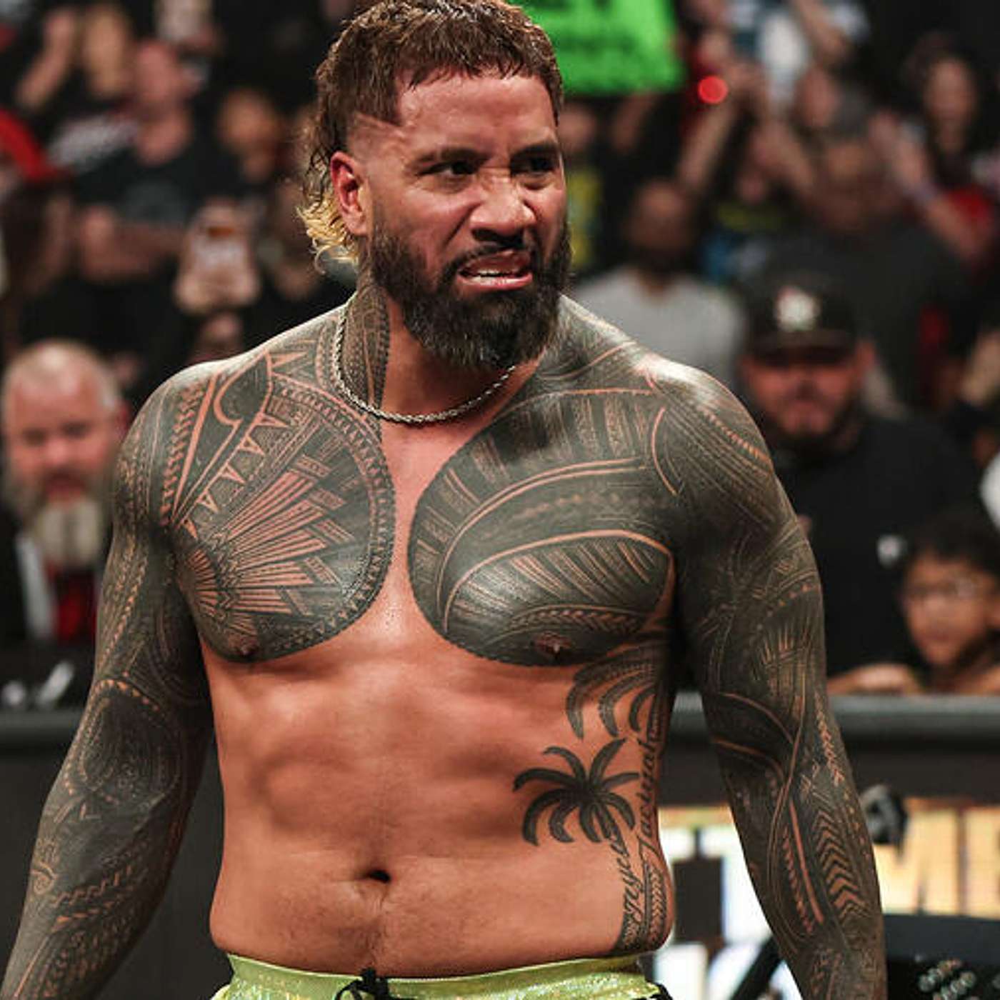 Jey Uso Told Roman Reigns What To Do… And He LISTENED - Wrestle Chop Podcast episode artwork