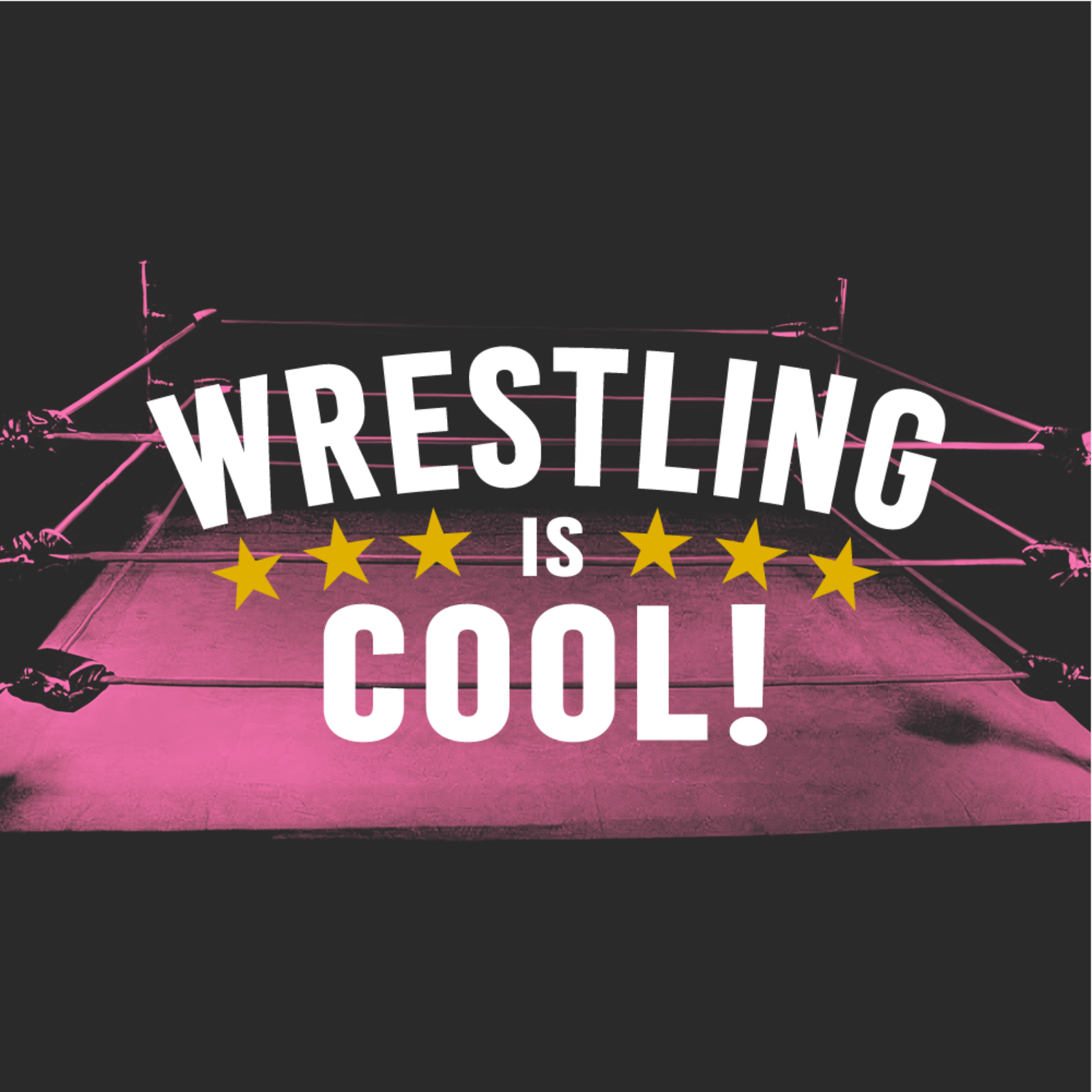  ELIMINATION CHAMBER IS OVER...WHAT NOW? - Wrestling is Cool! Podcast