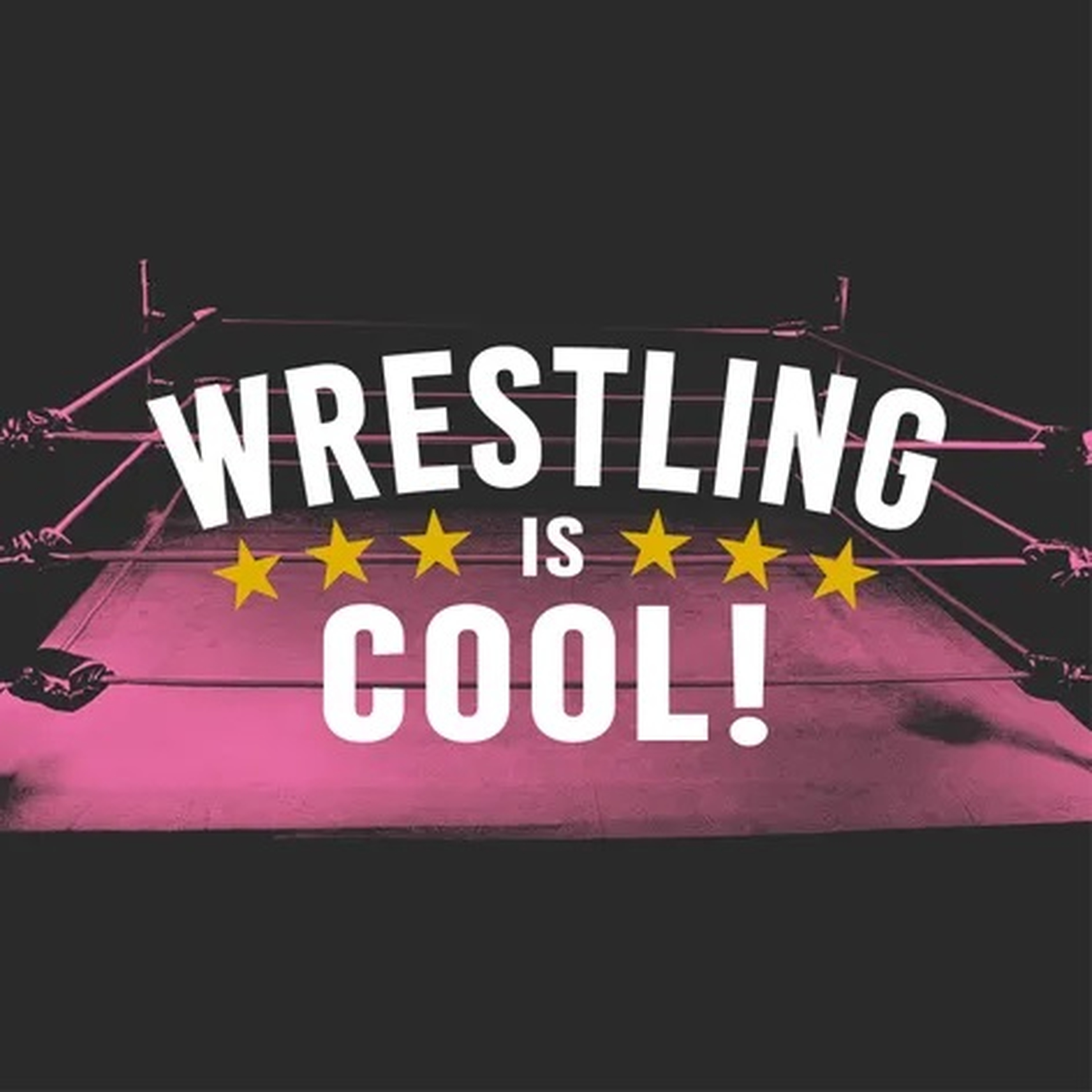 CM PUNK IS THE WWE CHAMPION...NOW WHAT? - Wrestling is Cool! Podcast