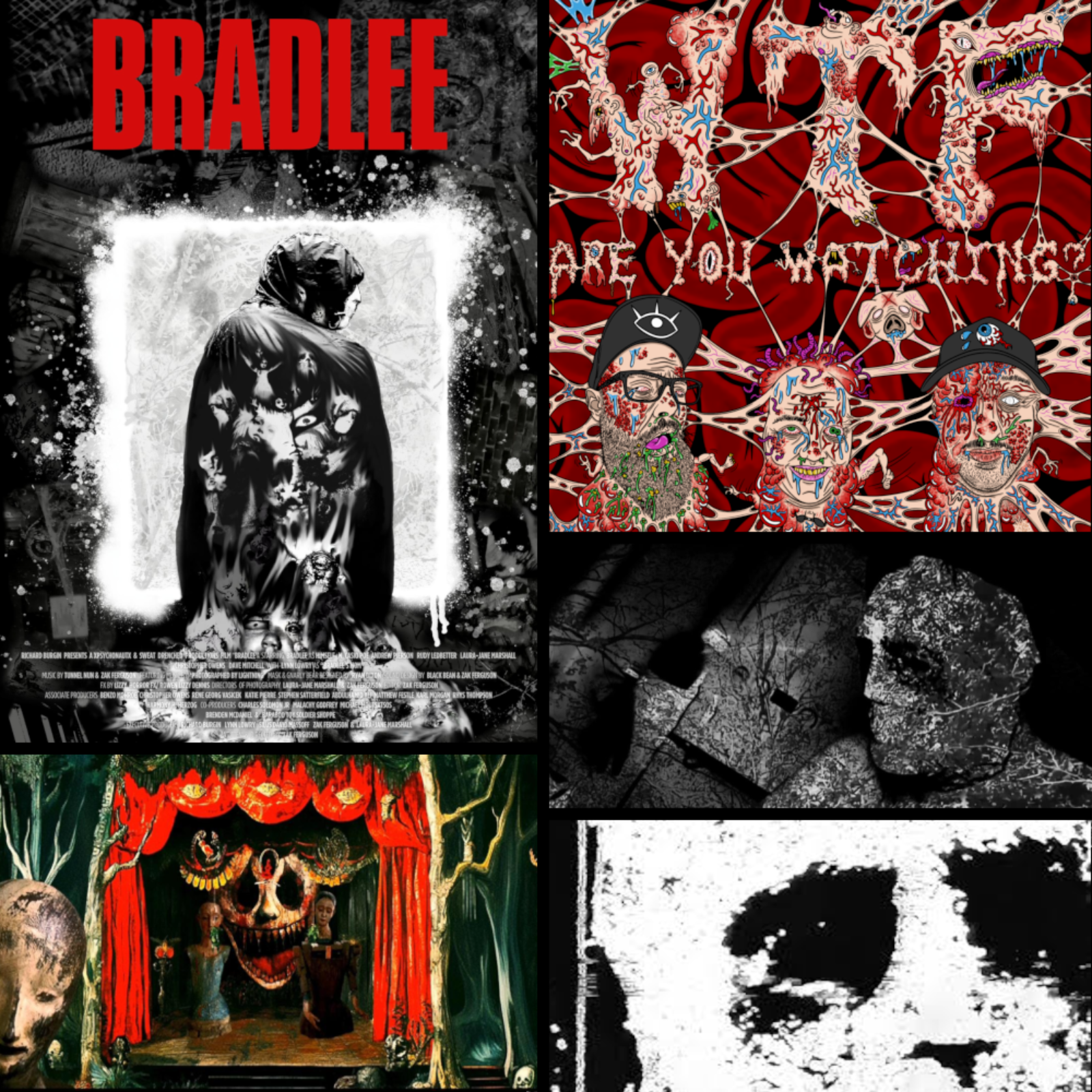 BRADLEE episode artwork